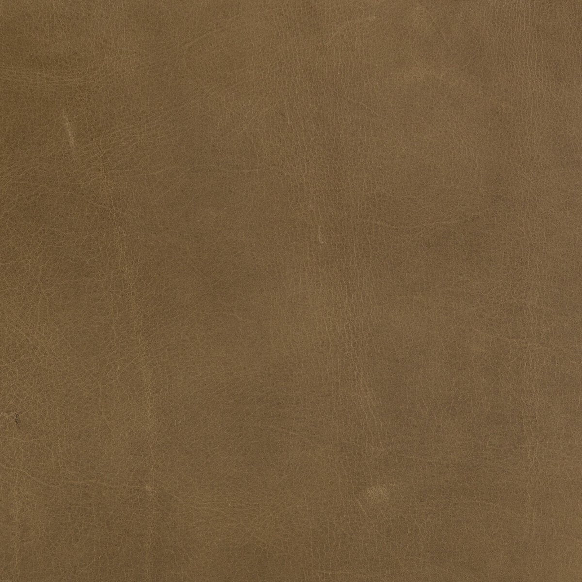 Dian 30" Top Grain Leather Occasional Chair - Dakota Warm Taupe