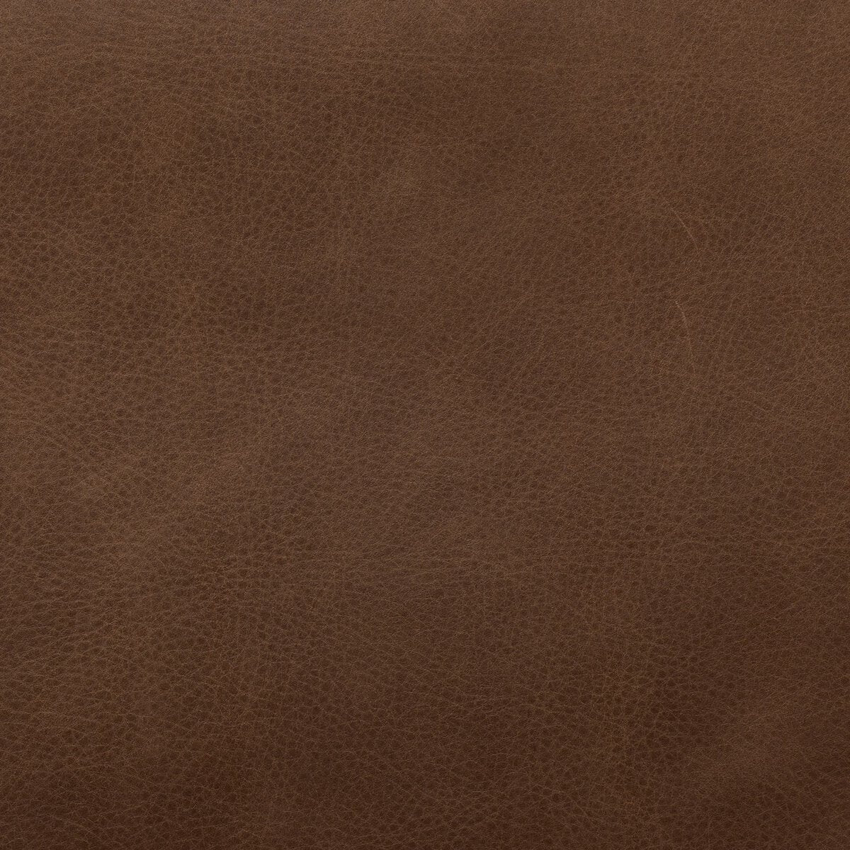 Calliope 20" Top Grain Leather Dining Chair - Palermo Drift