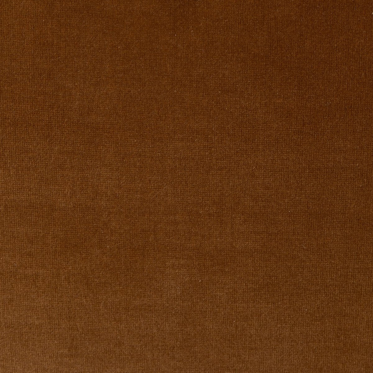 Celeste 30" Upholstered Occasional Chair - Surrey Ochre