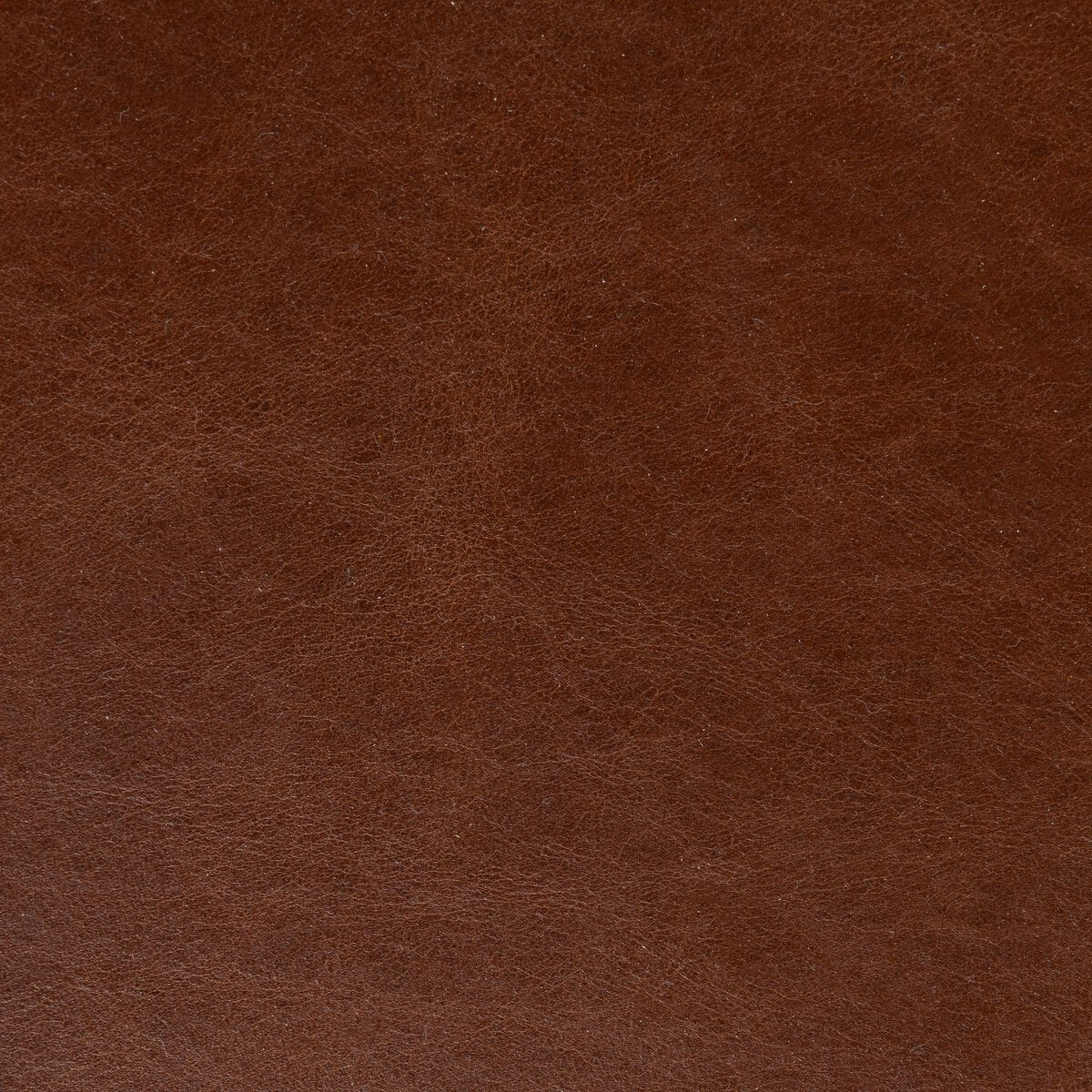 Mariana 21" Top Grain Leather Dining Chair - Dulane Mahogany