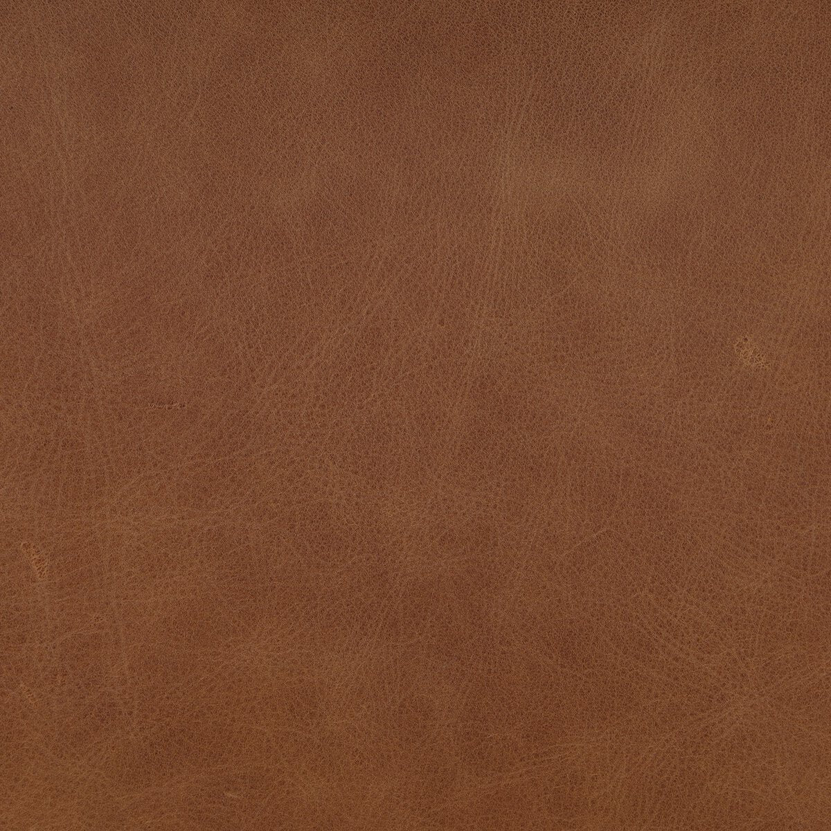 River 19" Top Grain Leather Dining Chair - Antwerp Natural