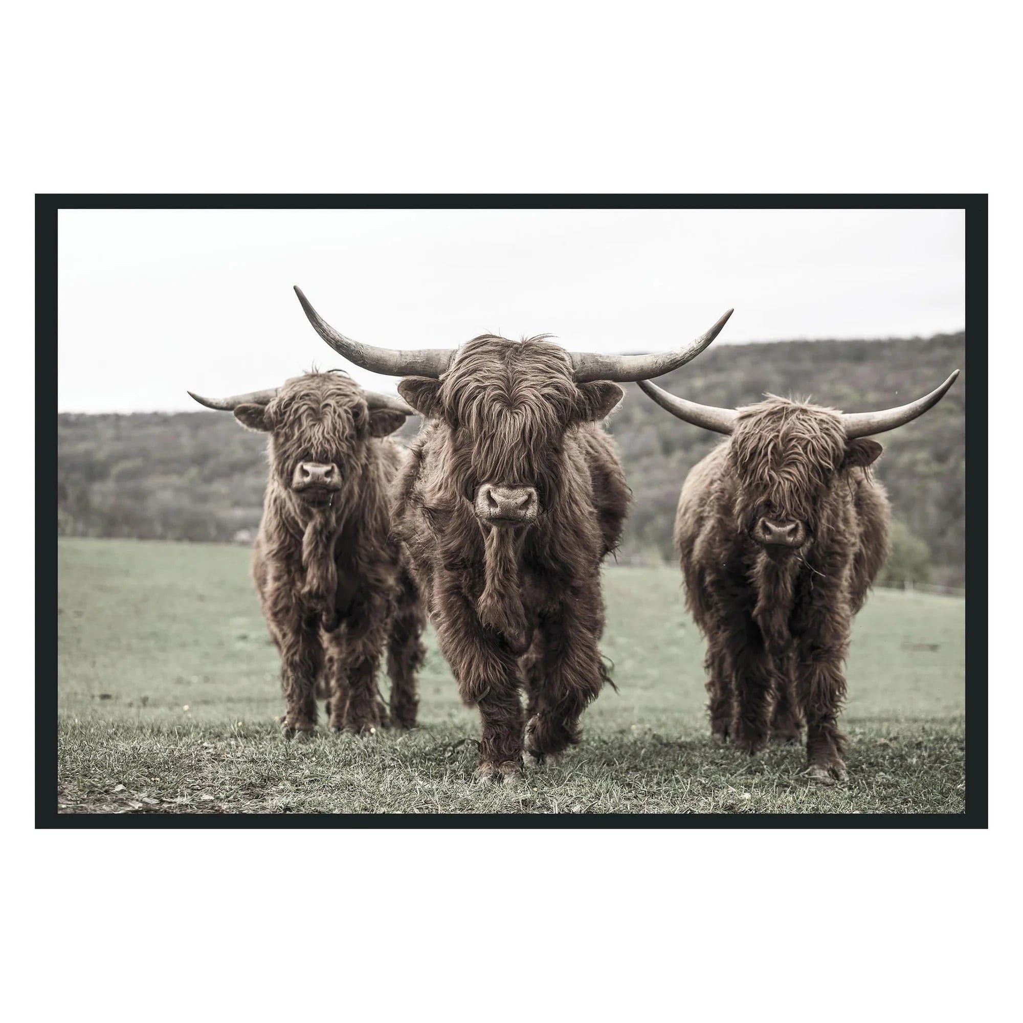 Highland 48x72 Framed Art