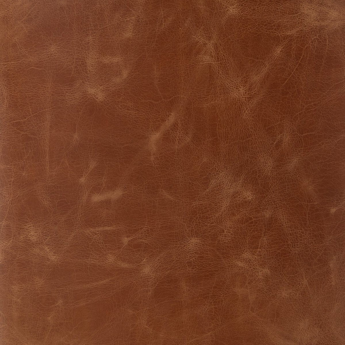 Ayla Top Grain Leather Dining Chair - Sienna Chestnut