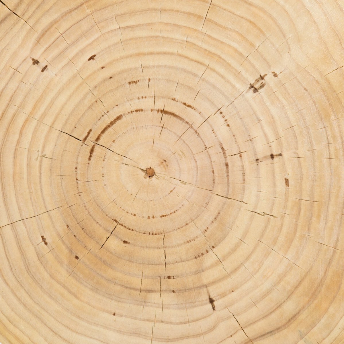 Bowie 16" End Table - Natural Pine