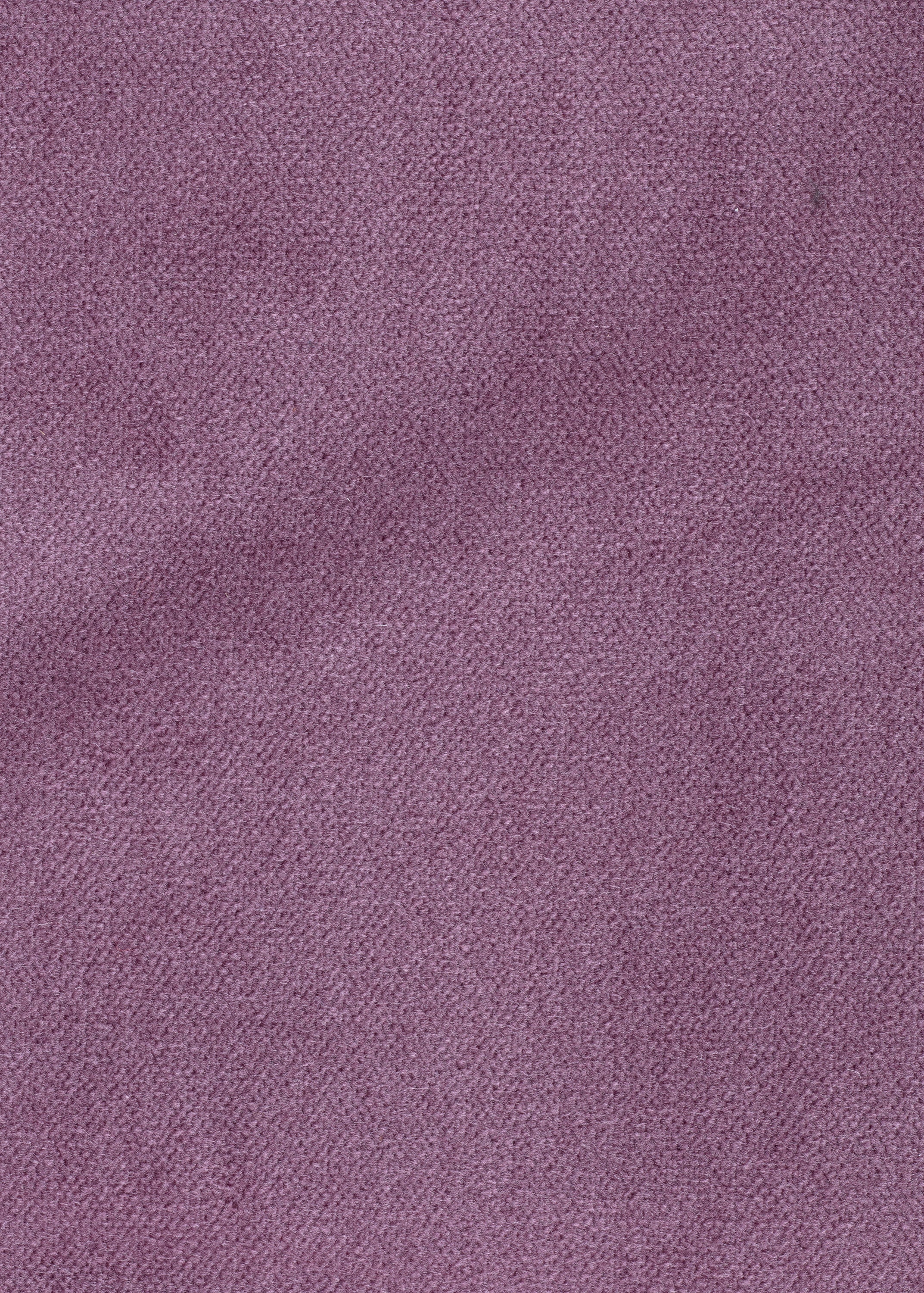 Express Ship Fabric 3454