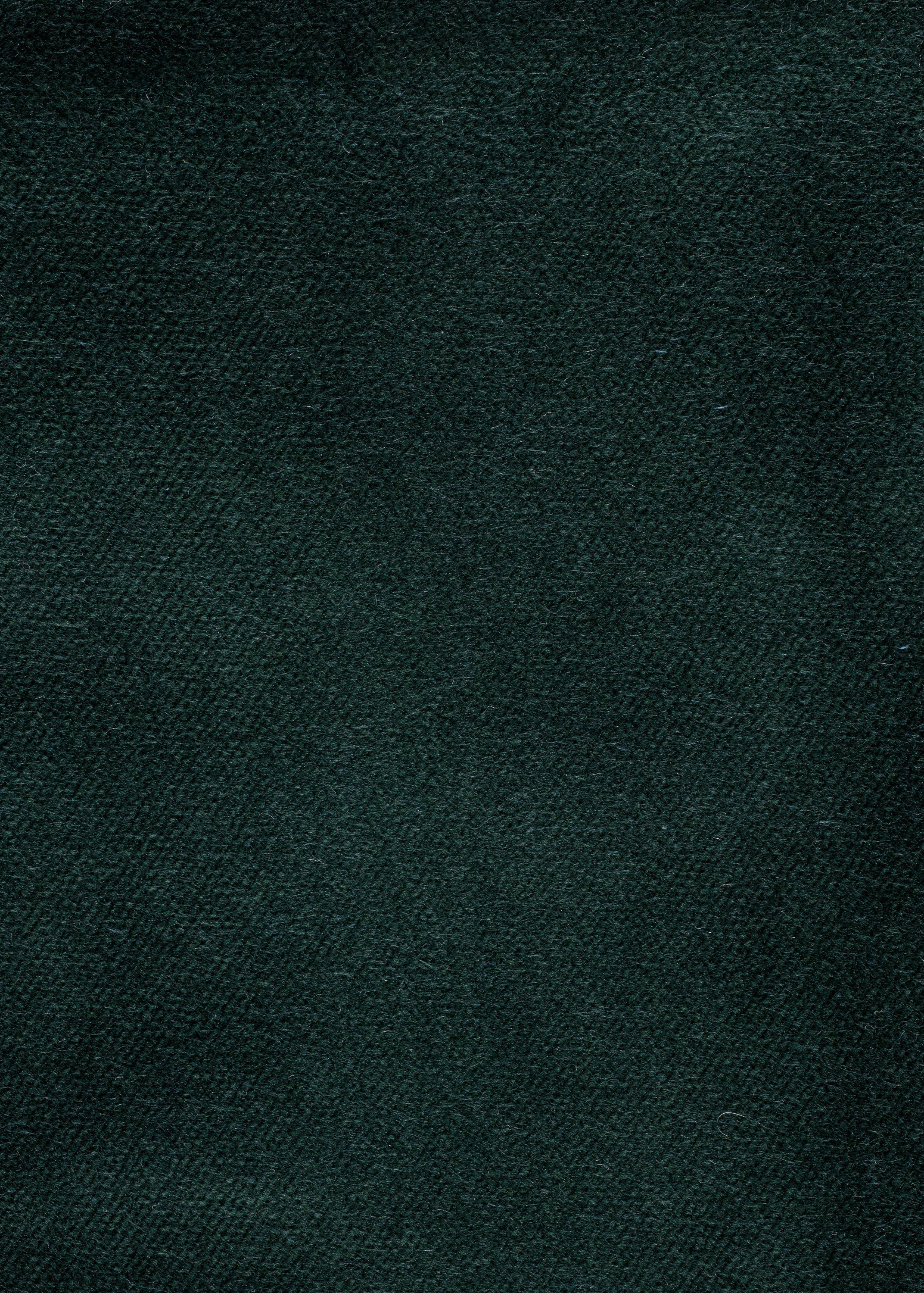 Express Ship Fabric 3459