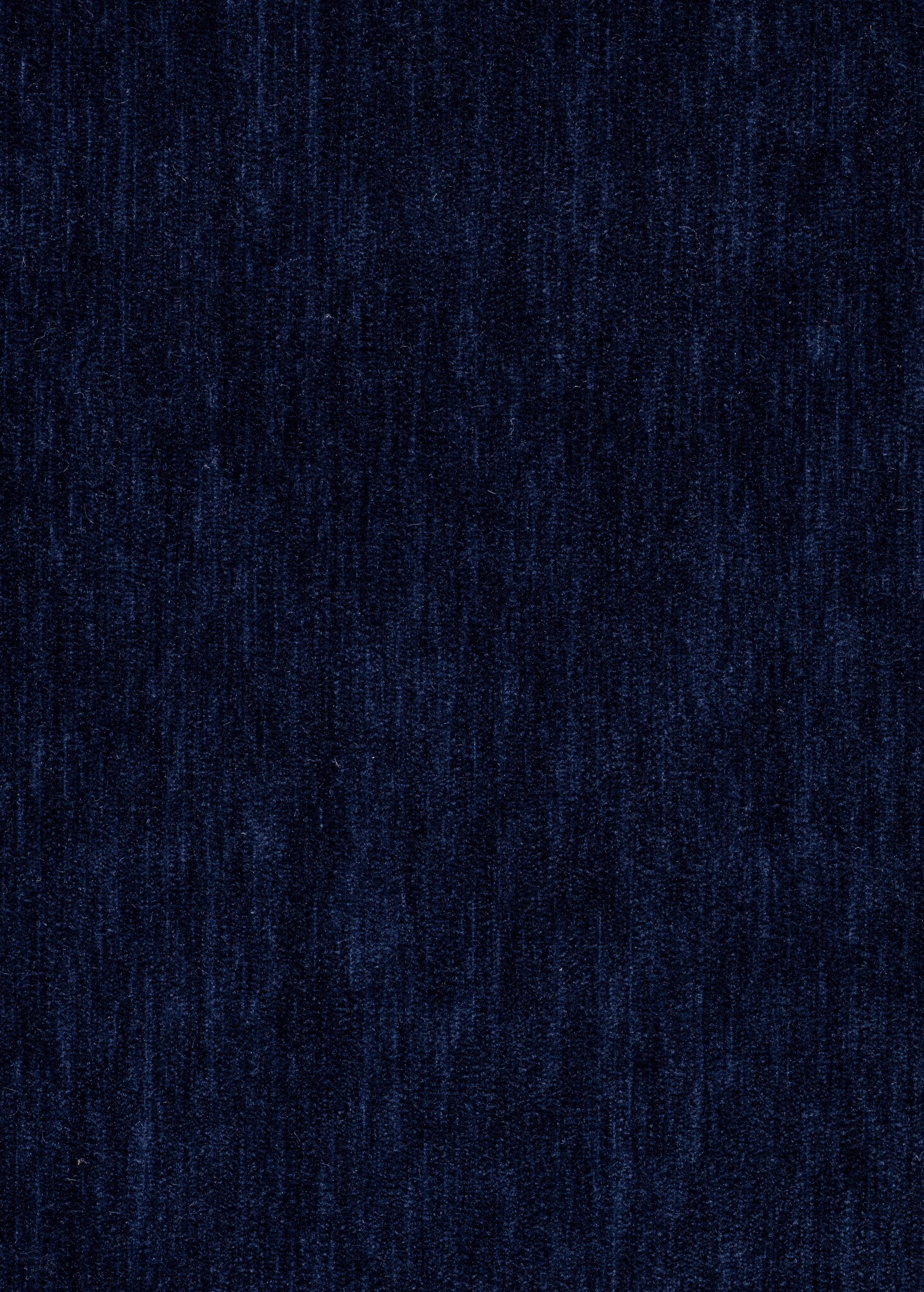 Express Ship Fabric 3541