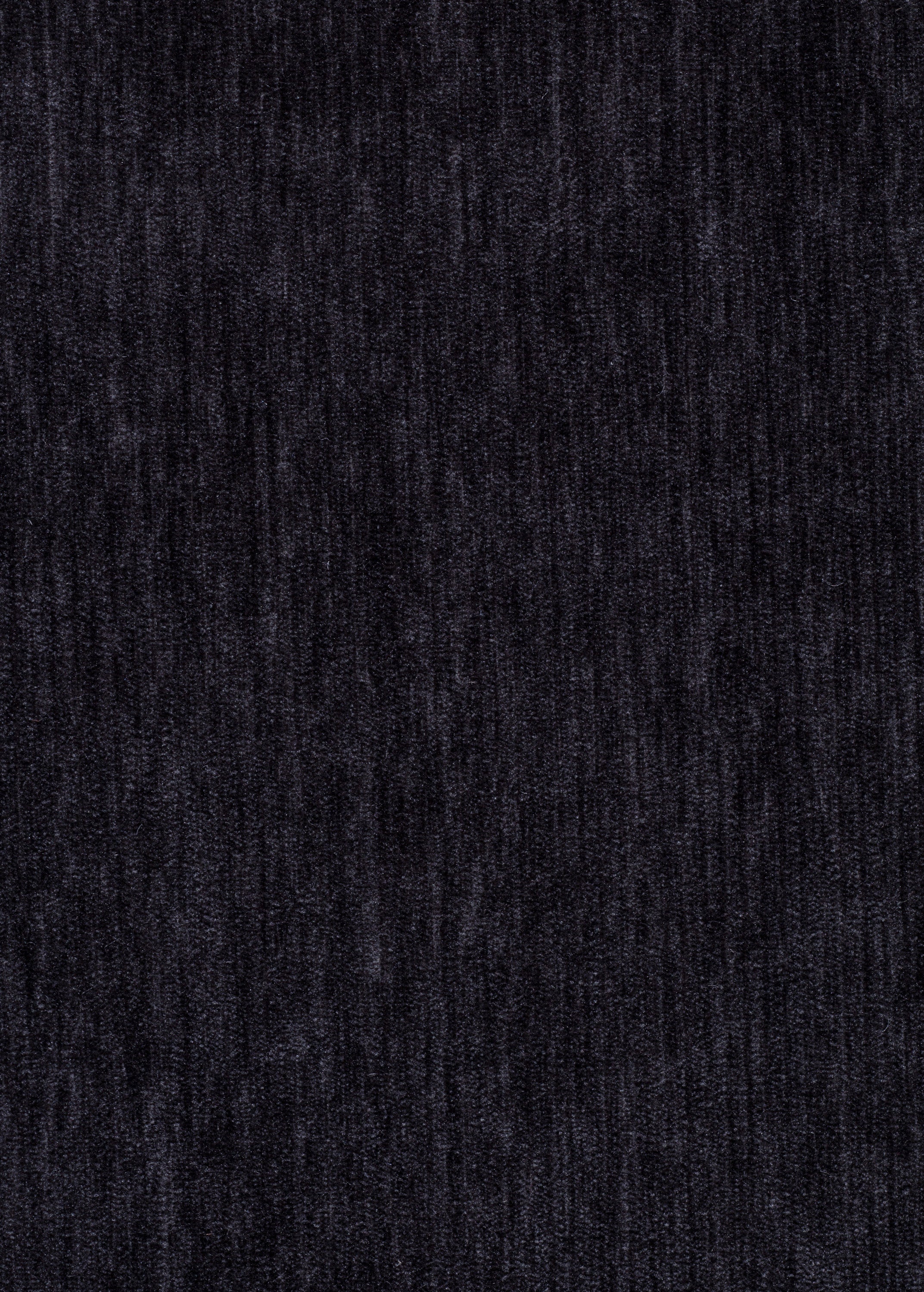 Express Ship Fabric 3543 - Raven Velvet