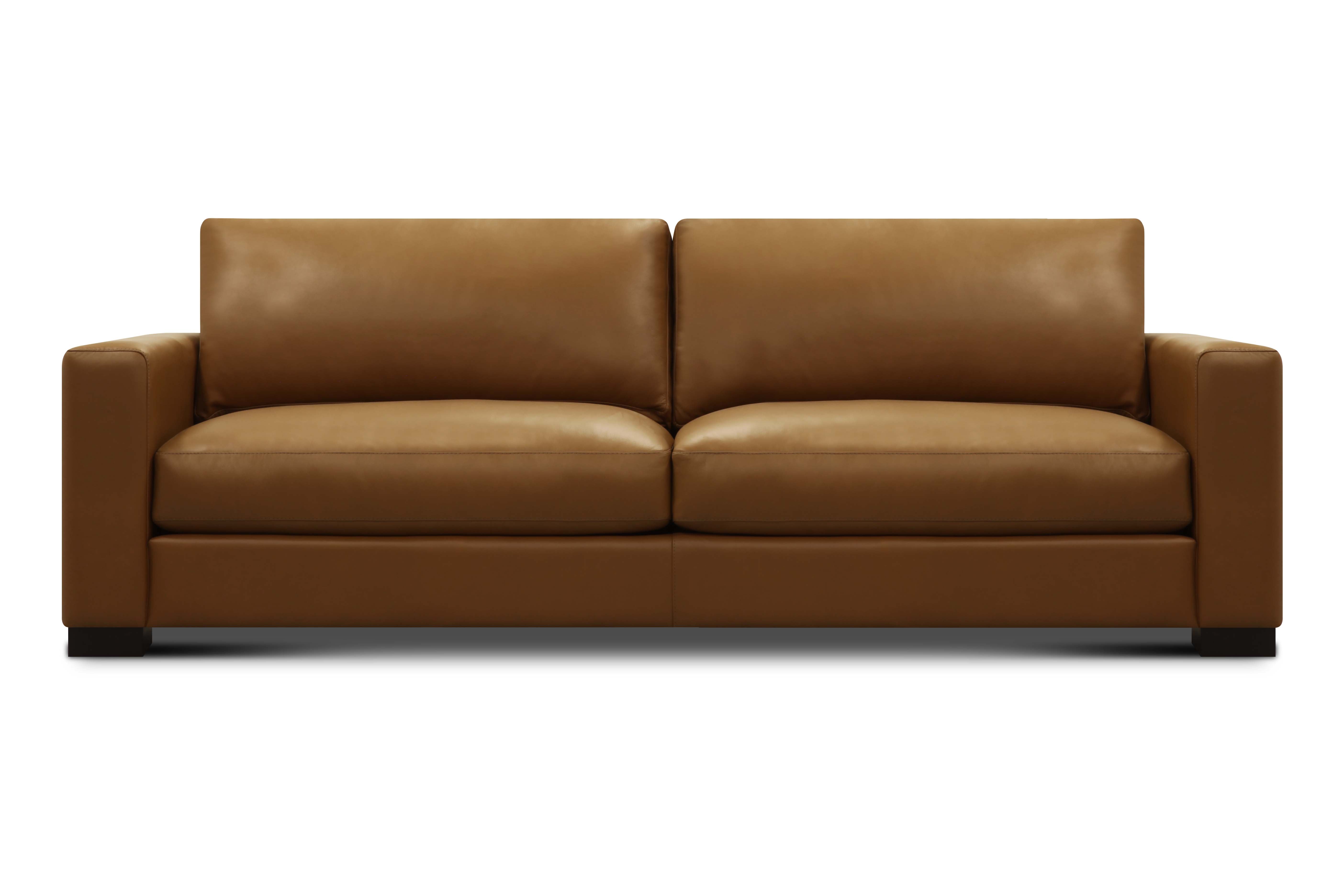 Norton 90" Top Grain Leather 2 Cushion Sofa - Amadeus Whiskey