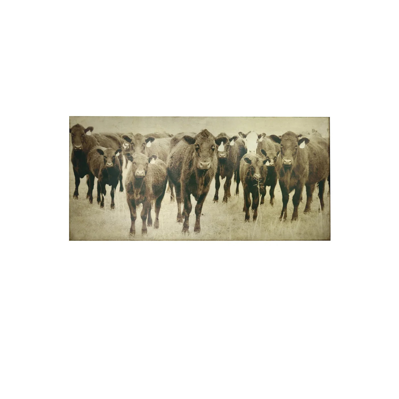 Herd 76" Cow Wall Art