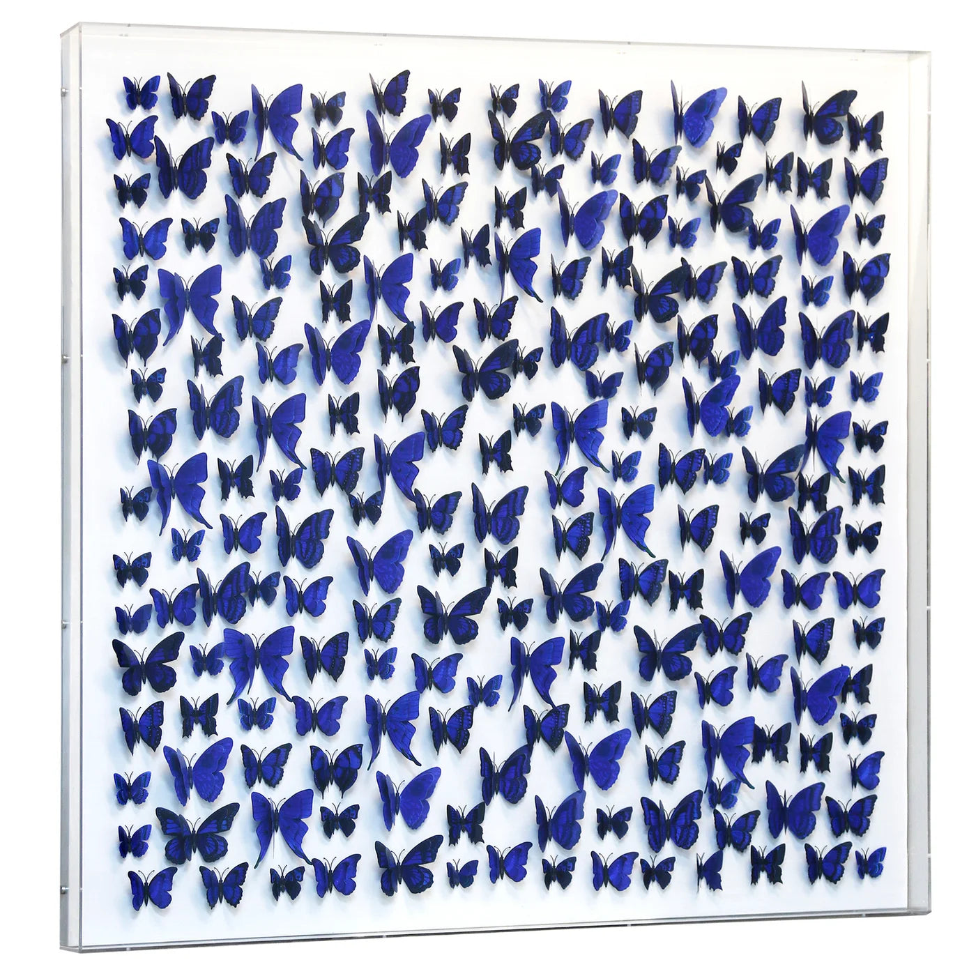 Butterfly 48" Shadow Box Wall Art