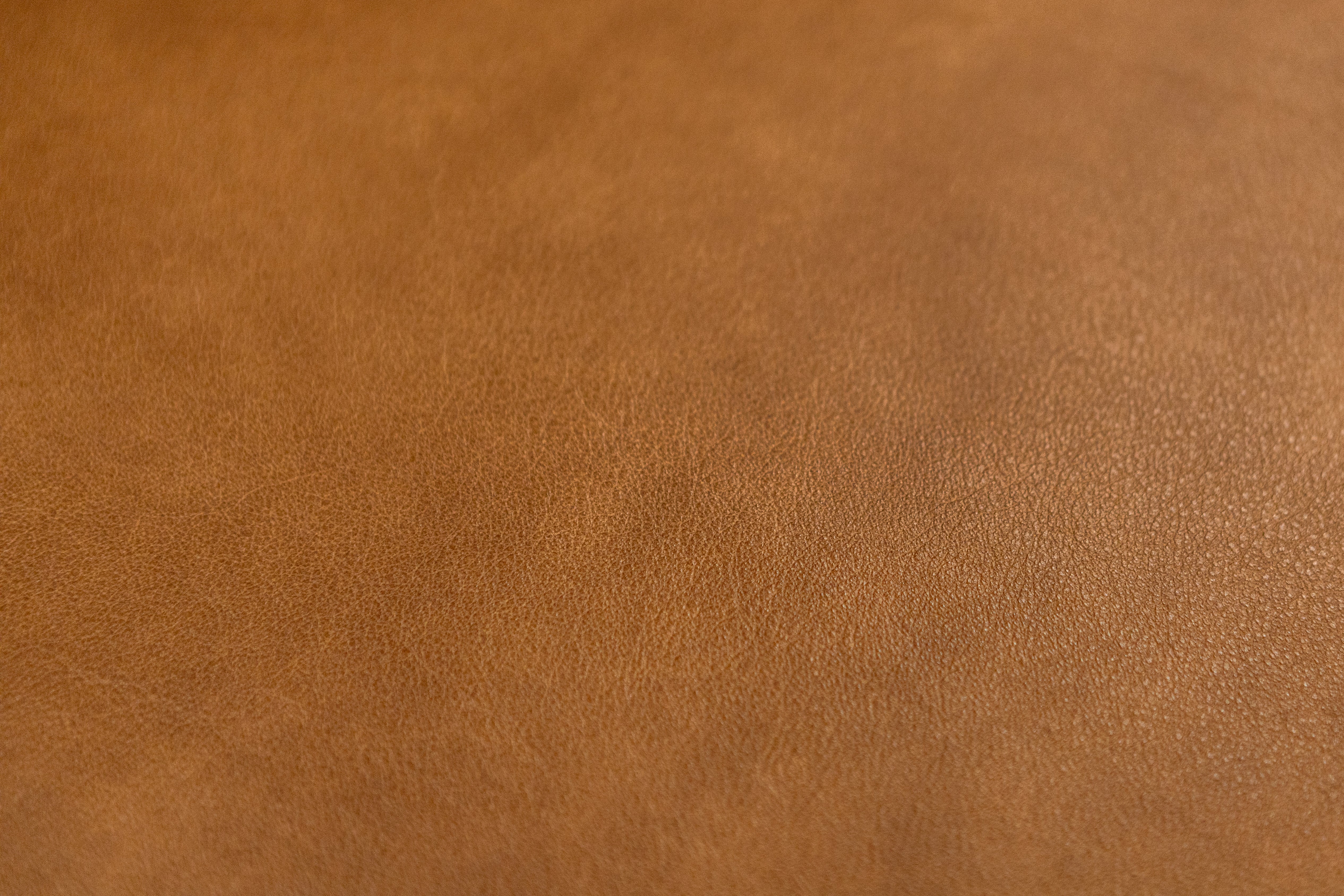 Wyatt 50" Wide Track Arm Top Grain Leather Chair - Desert Sand