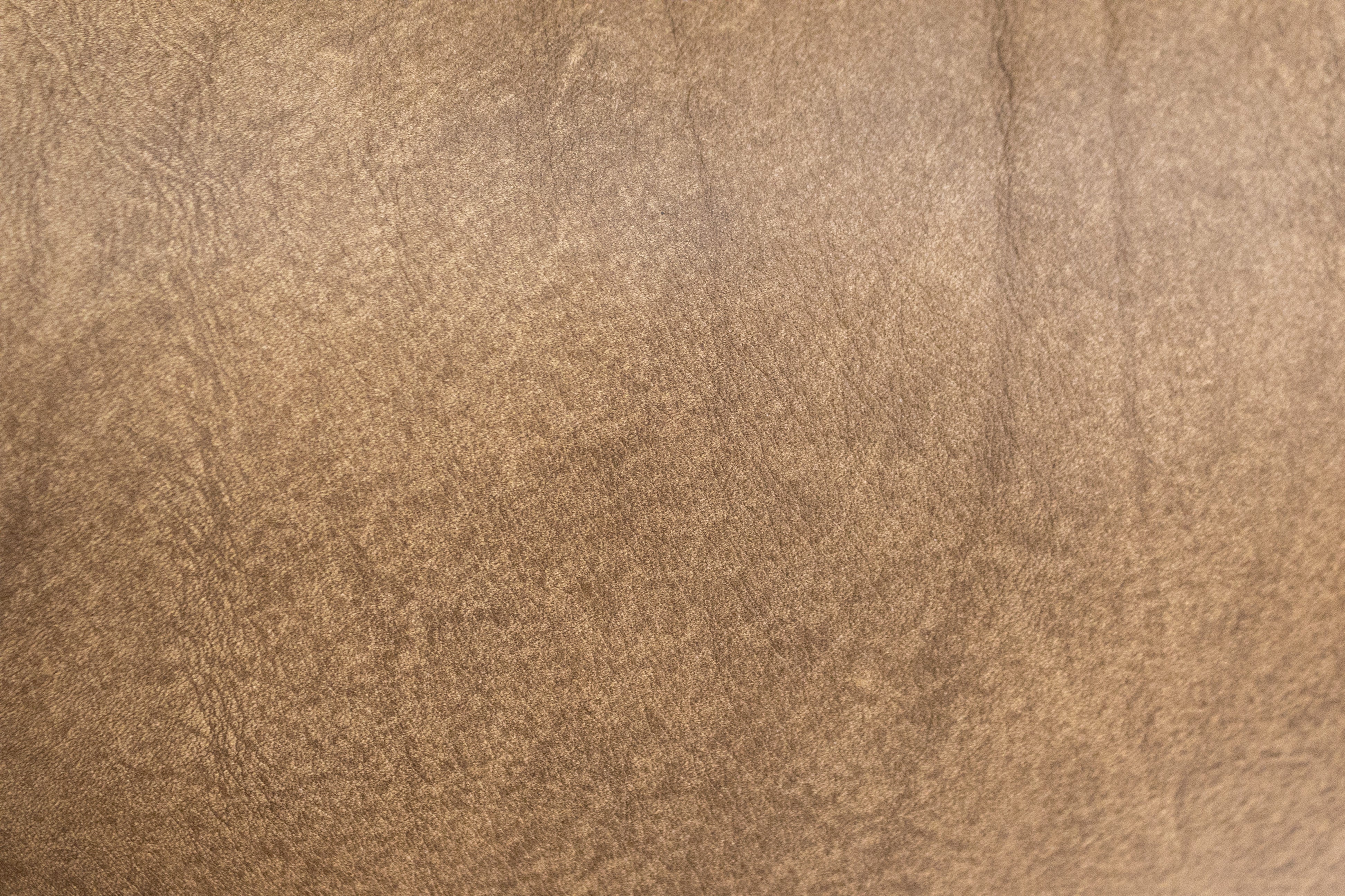 Amarillo 83" 3 Cushion Top Grain Leather Queen Sleeper Sofa - Bandera Taupe