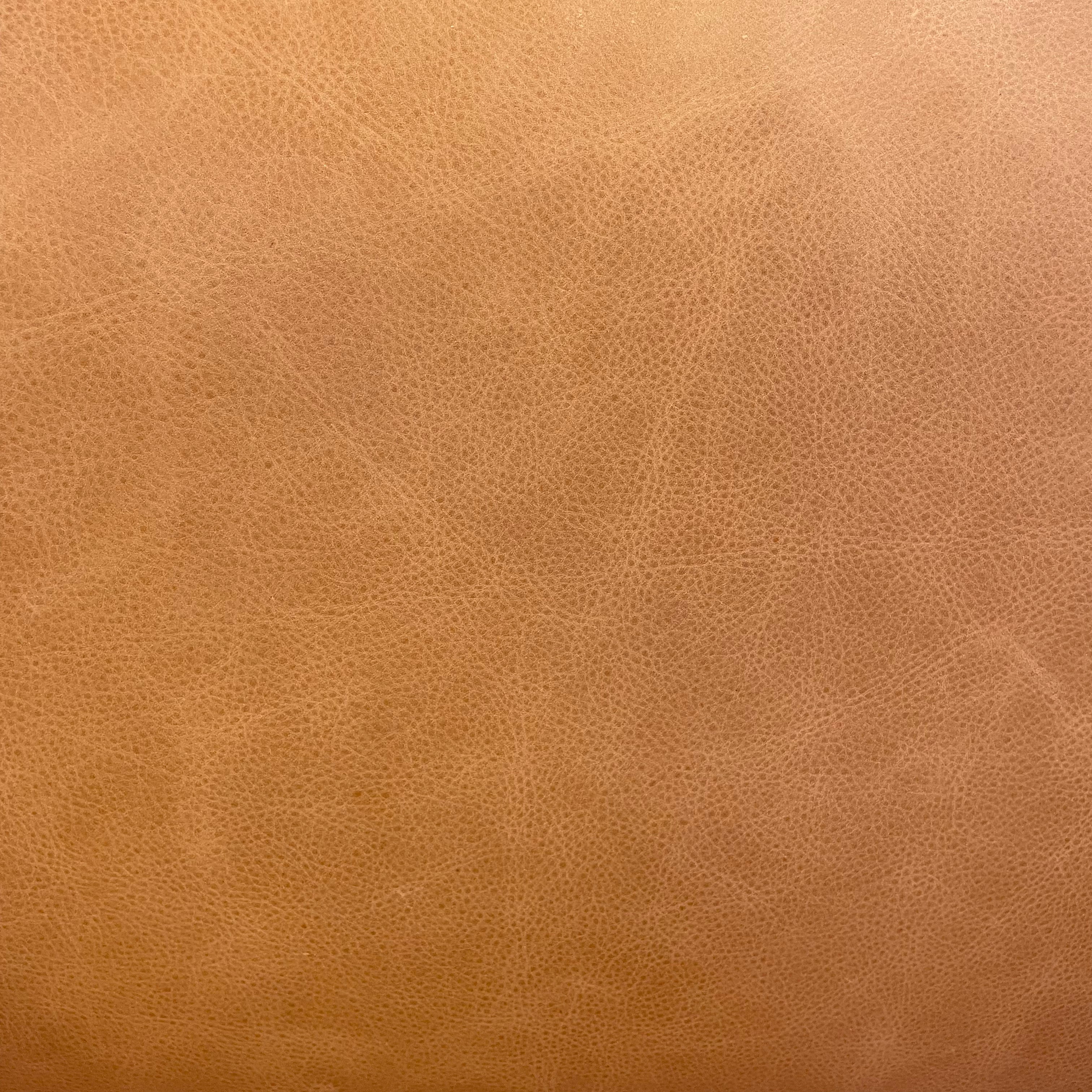 Clark 29" Top Grain Leather Occasional Chair - Cognac