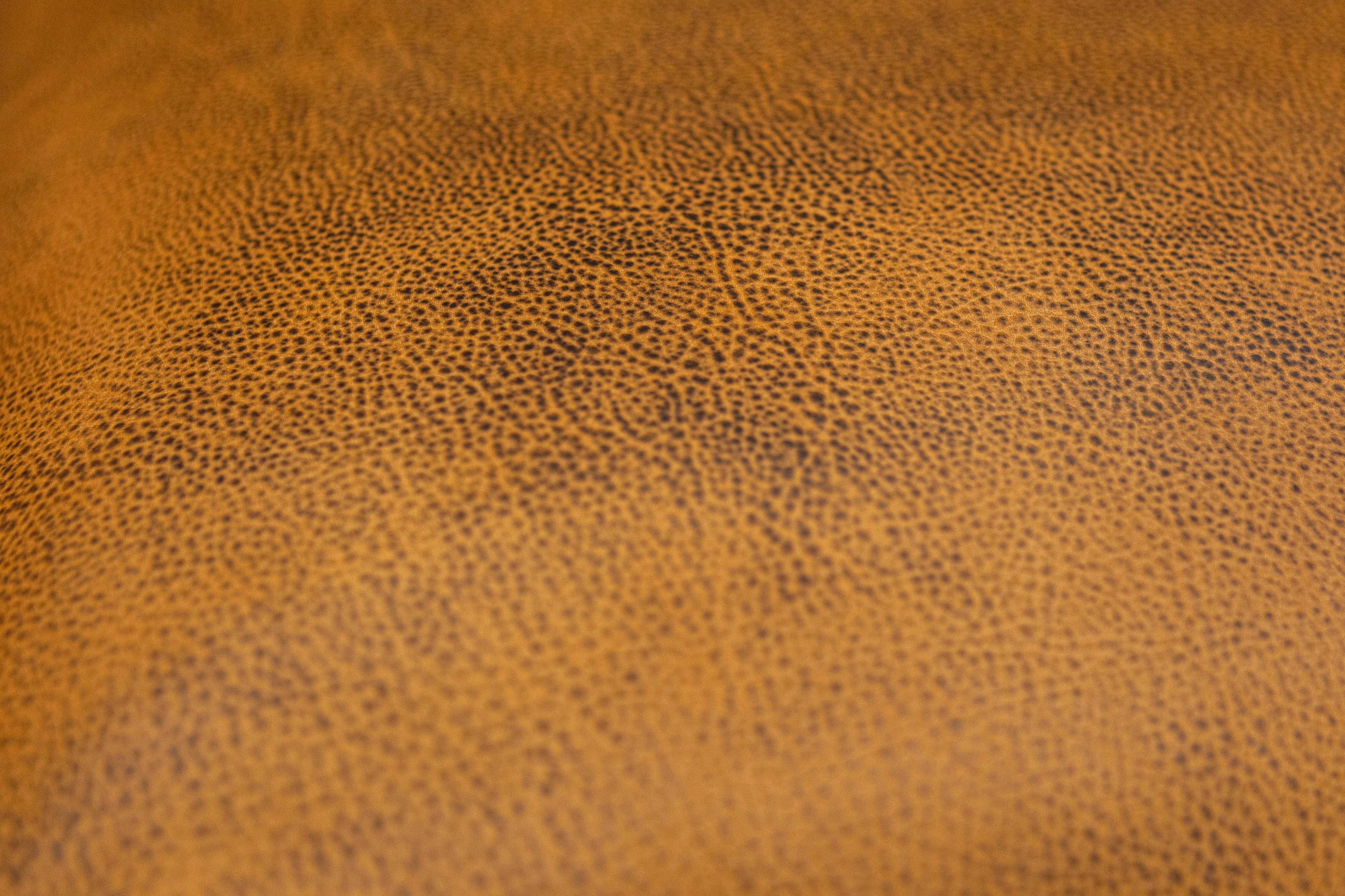 Wallace 45" Top Grain Leather Chair - Diva Mustang