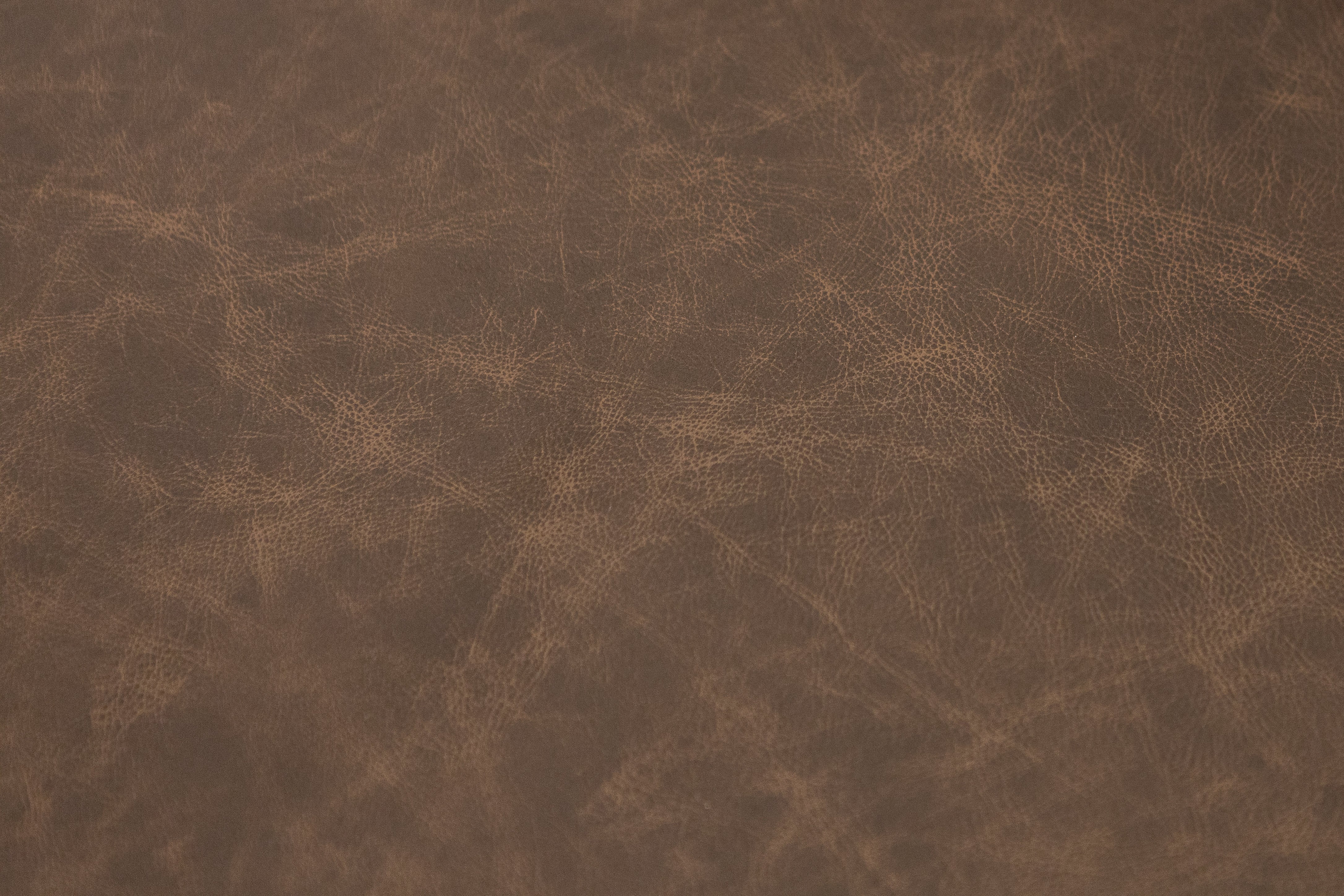 Wayne 65" Wedge Arm 2 Cushion Top Grain Leather Loveseat - Omaha Cigar