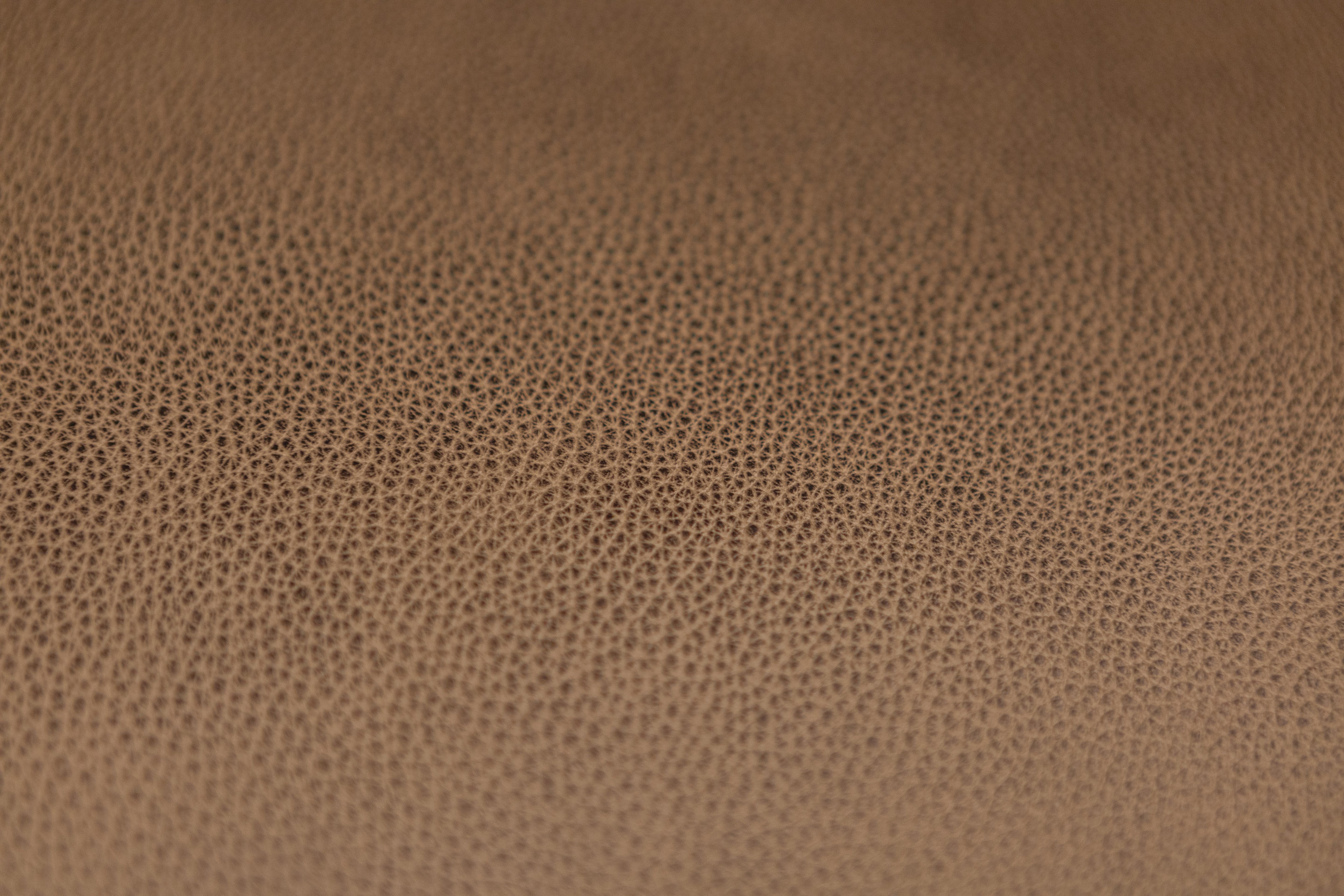 Willis 90" Top Grain Leather 3 Cushion Sofa - Diva Taupe