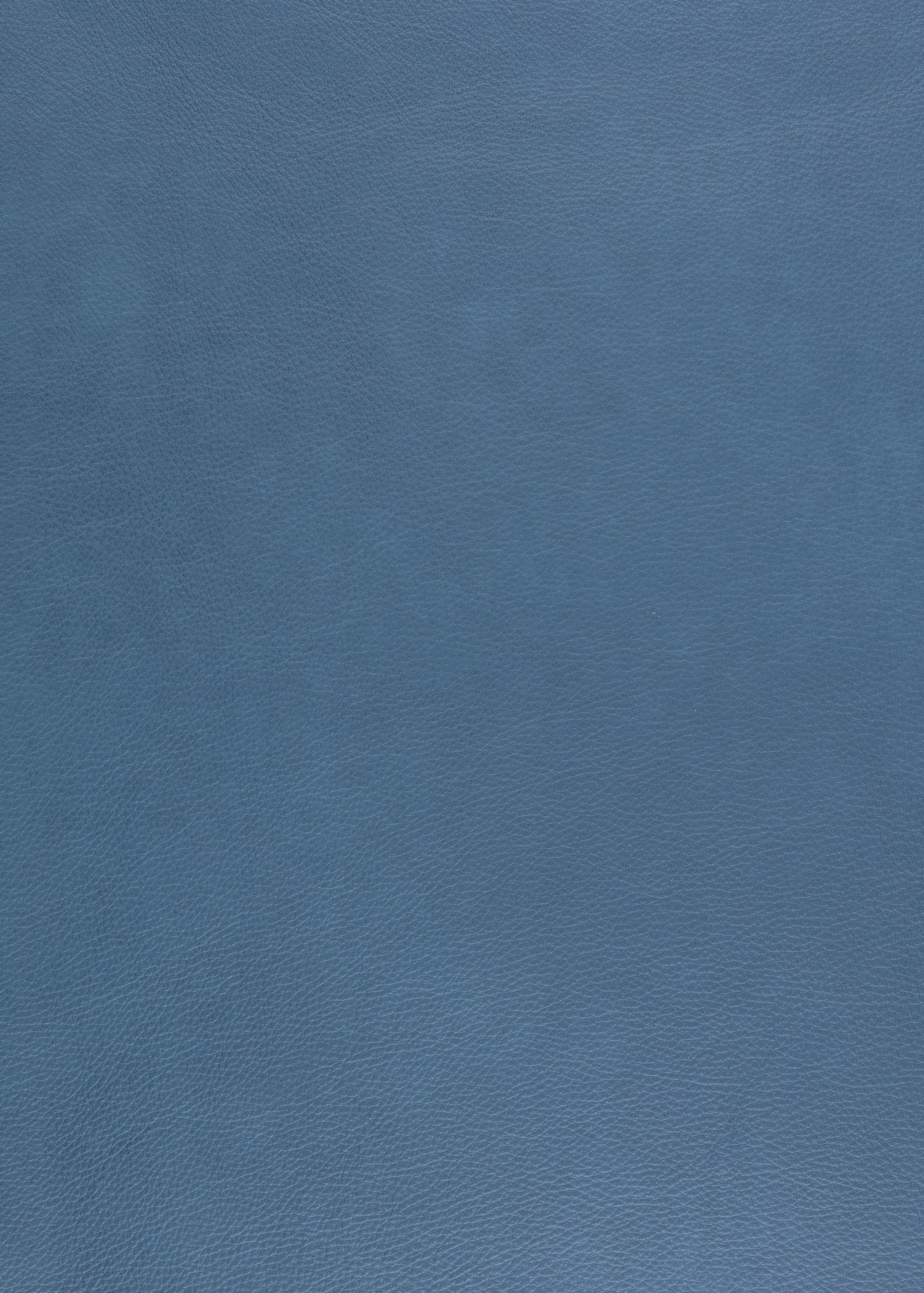 Express Ship Leather 186