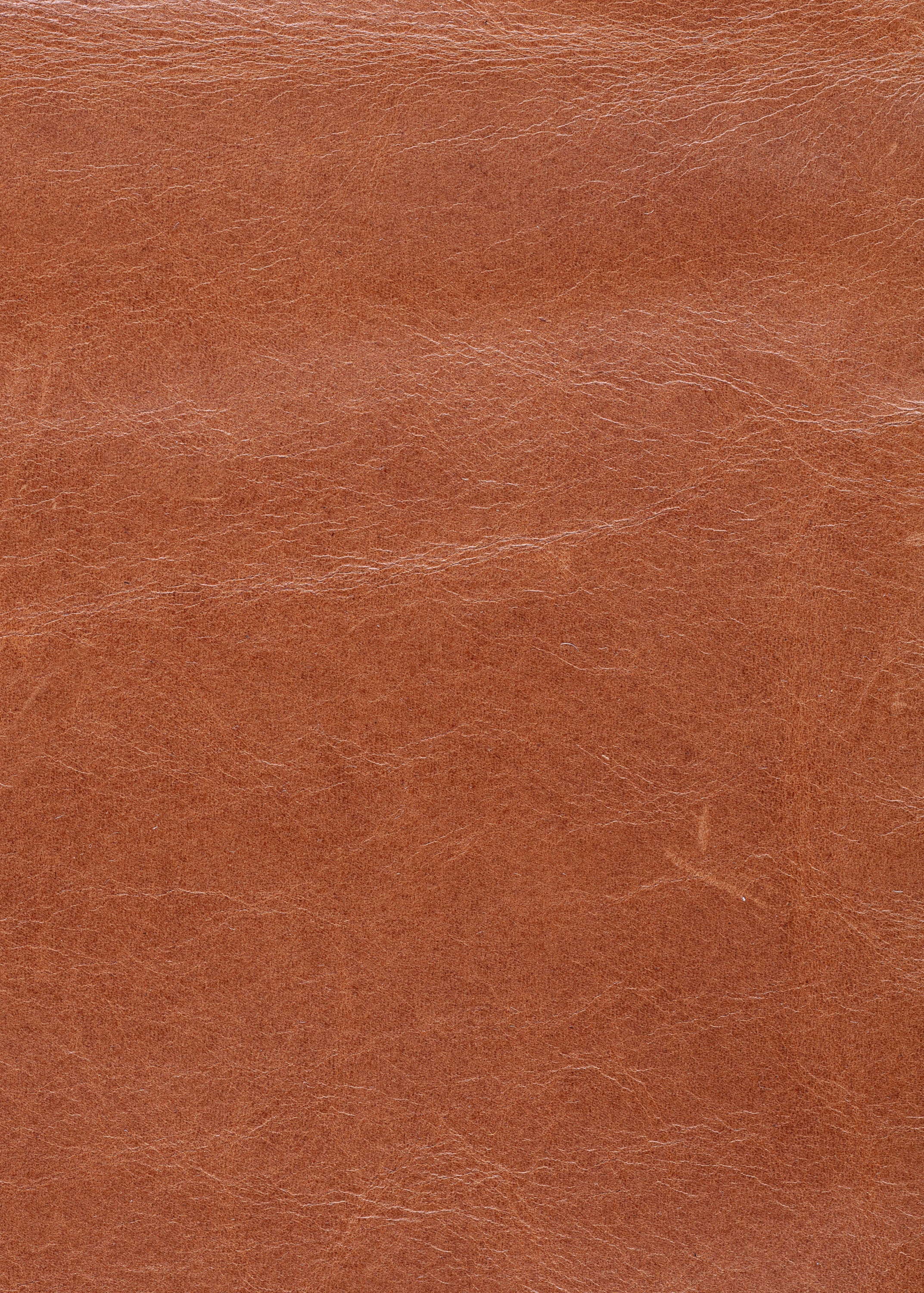 Express Ship Leather 212