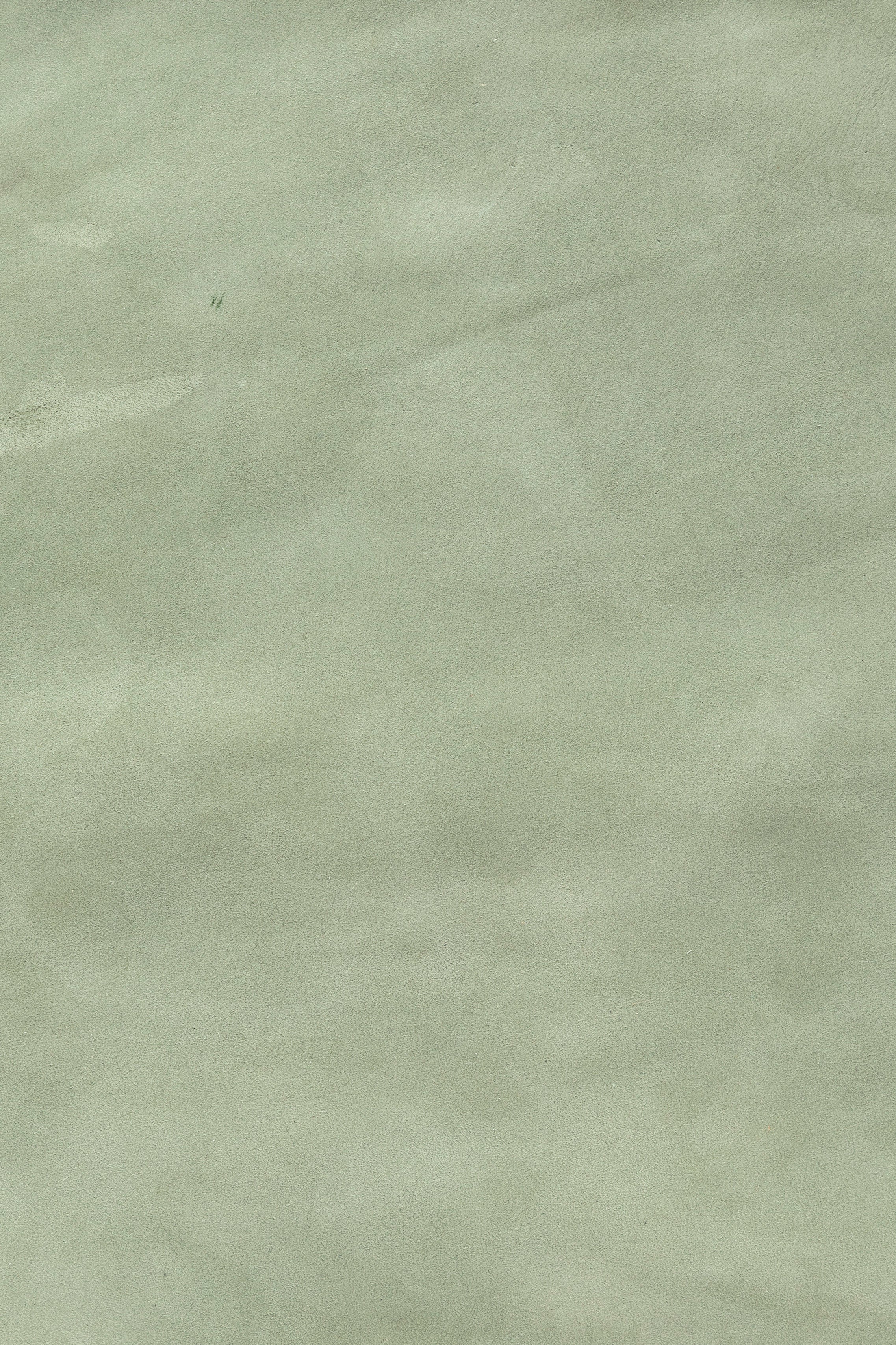 Express Ship Leather 220