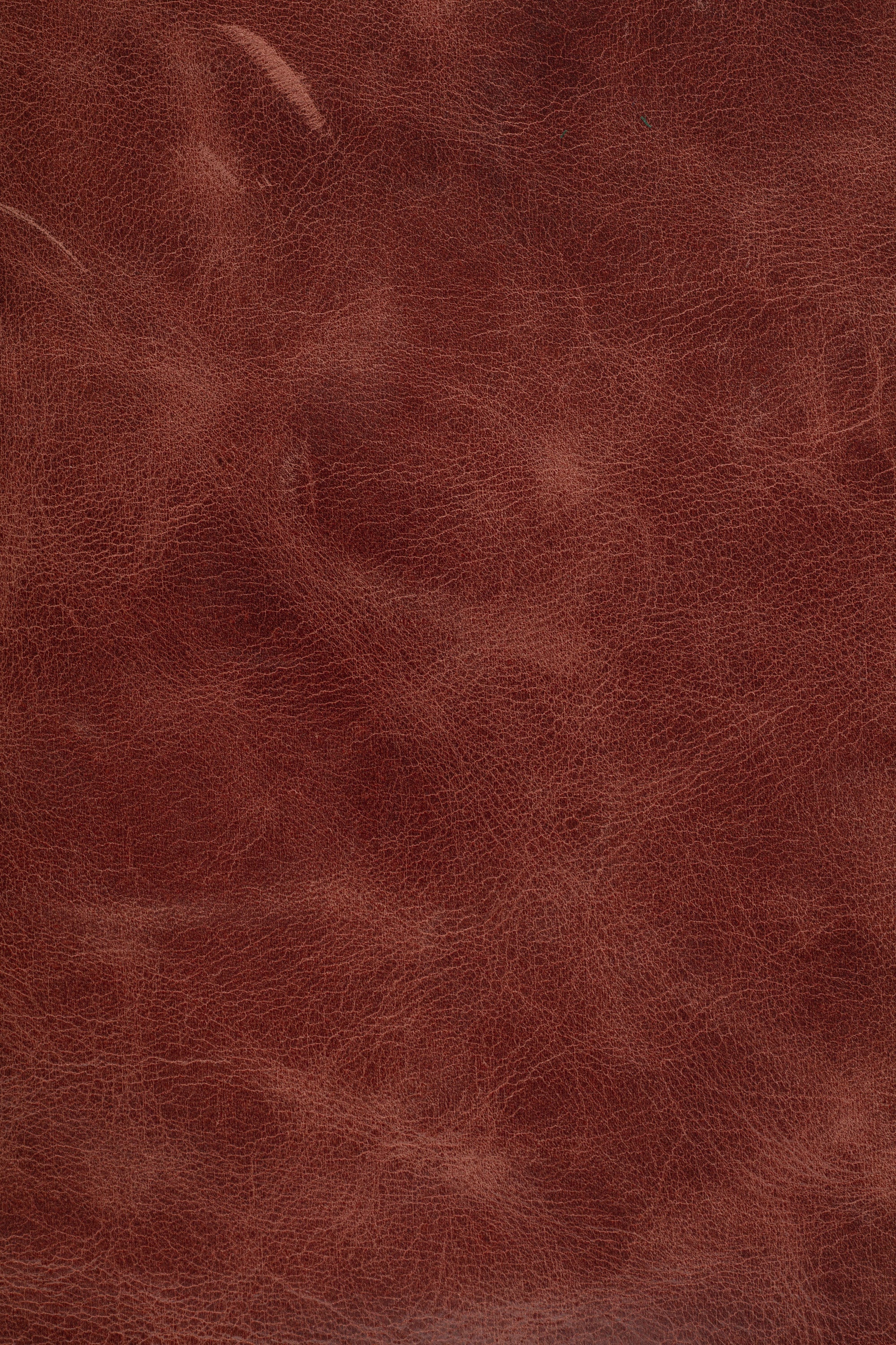 Express Ship Leather 232