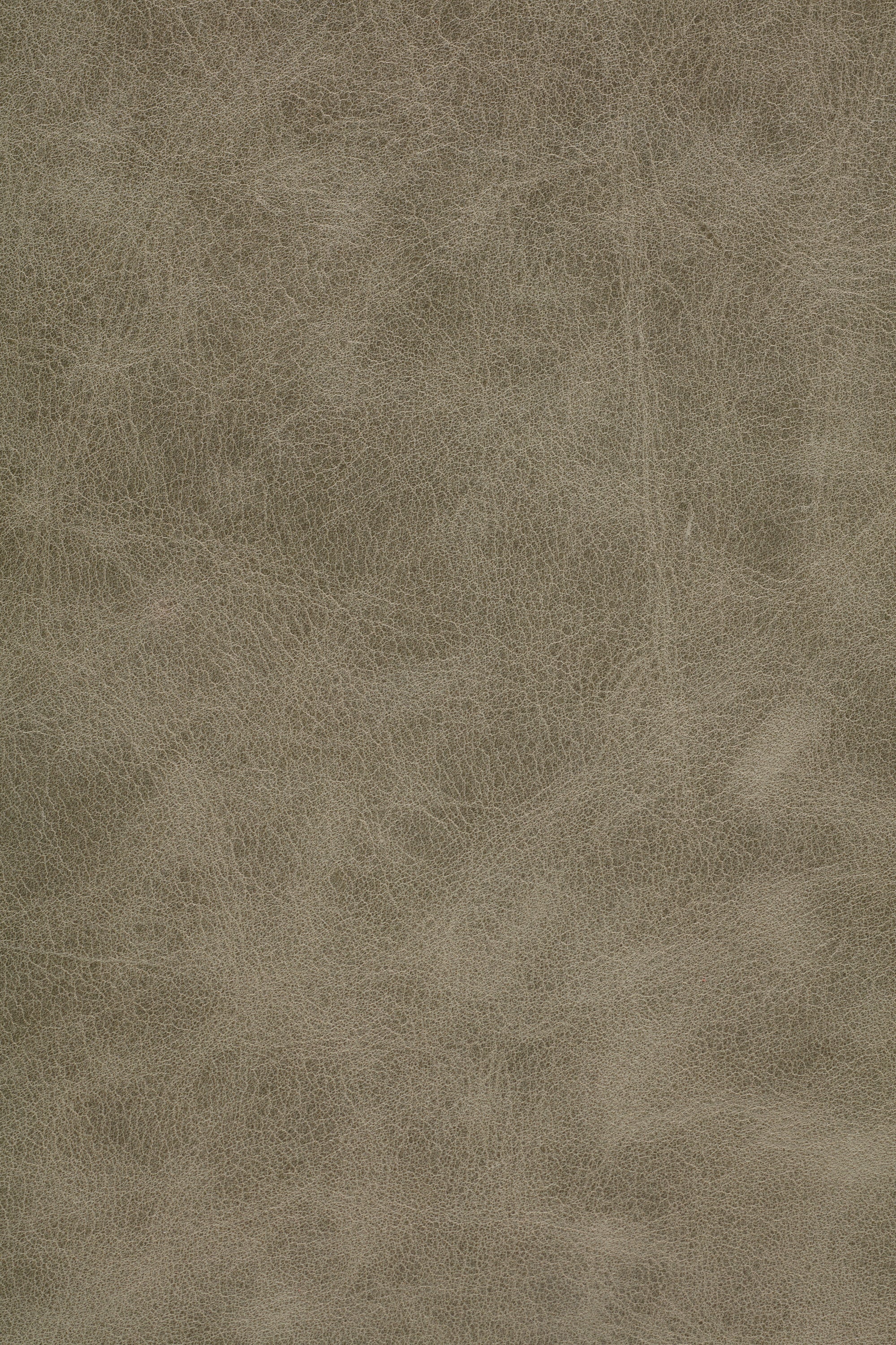 Express Ship Leather 234