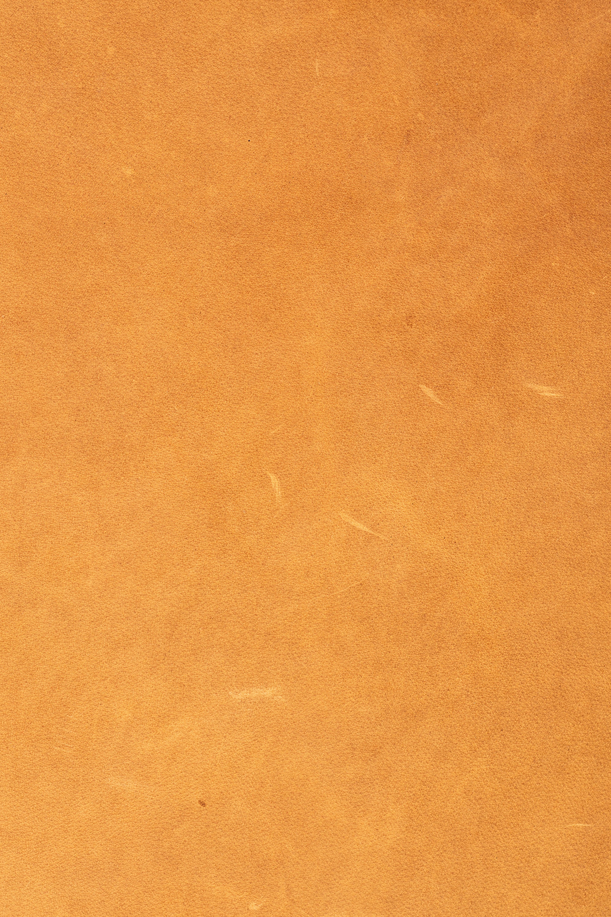 Express Ship Leather 240