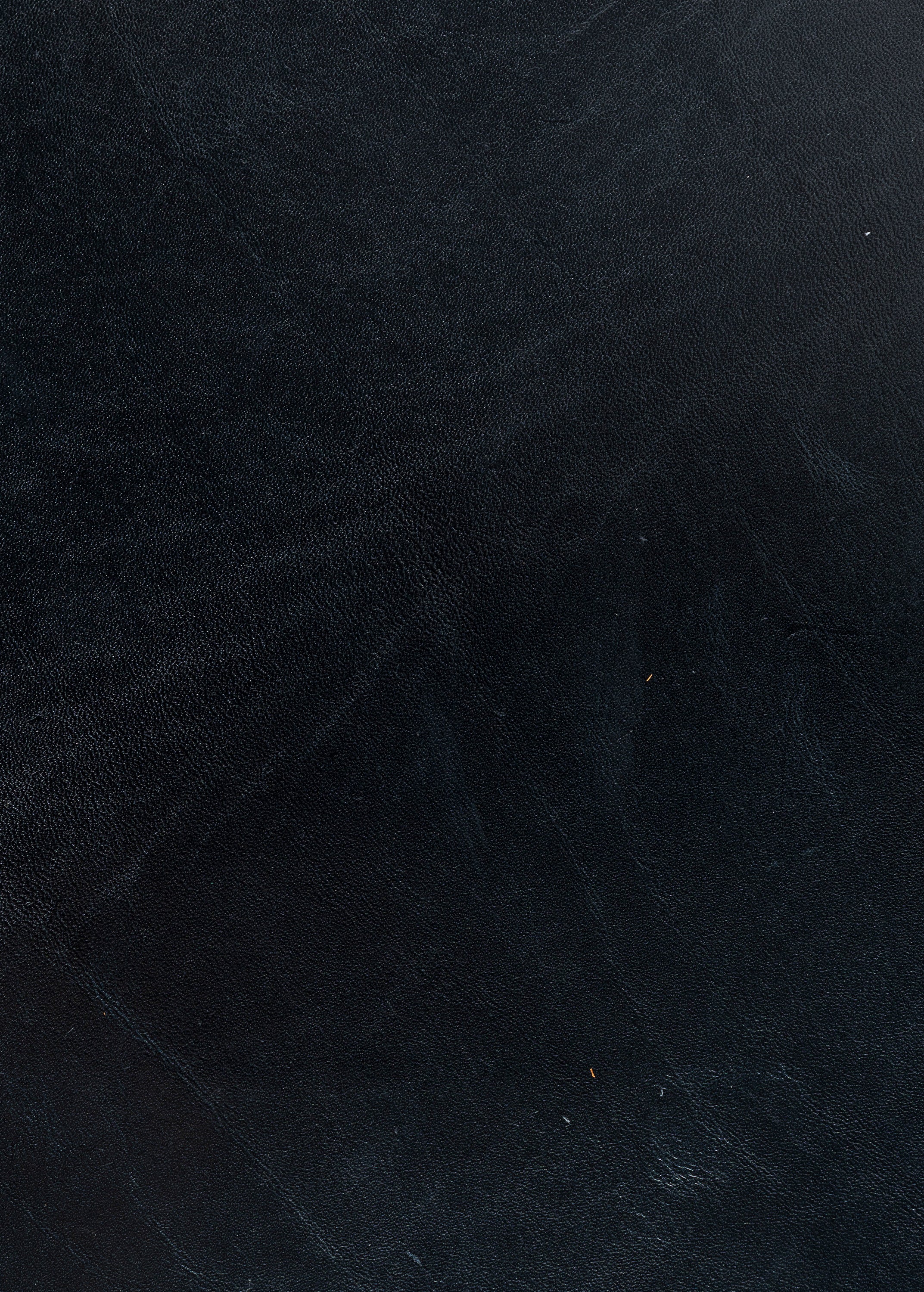 Express Ship Leather 252