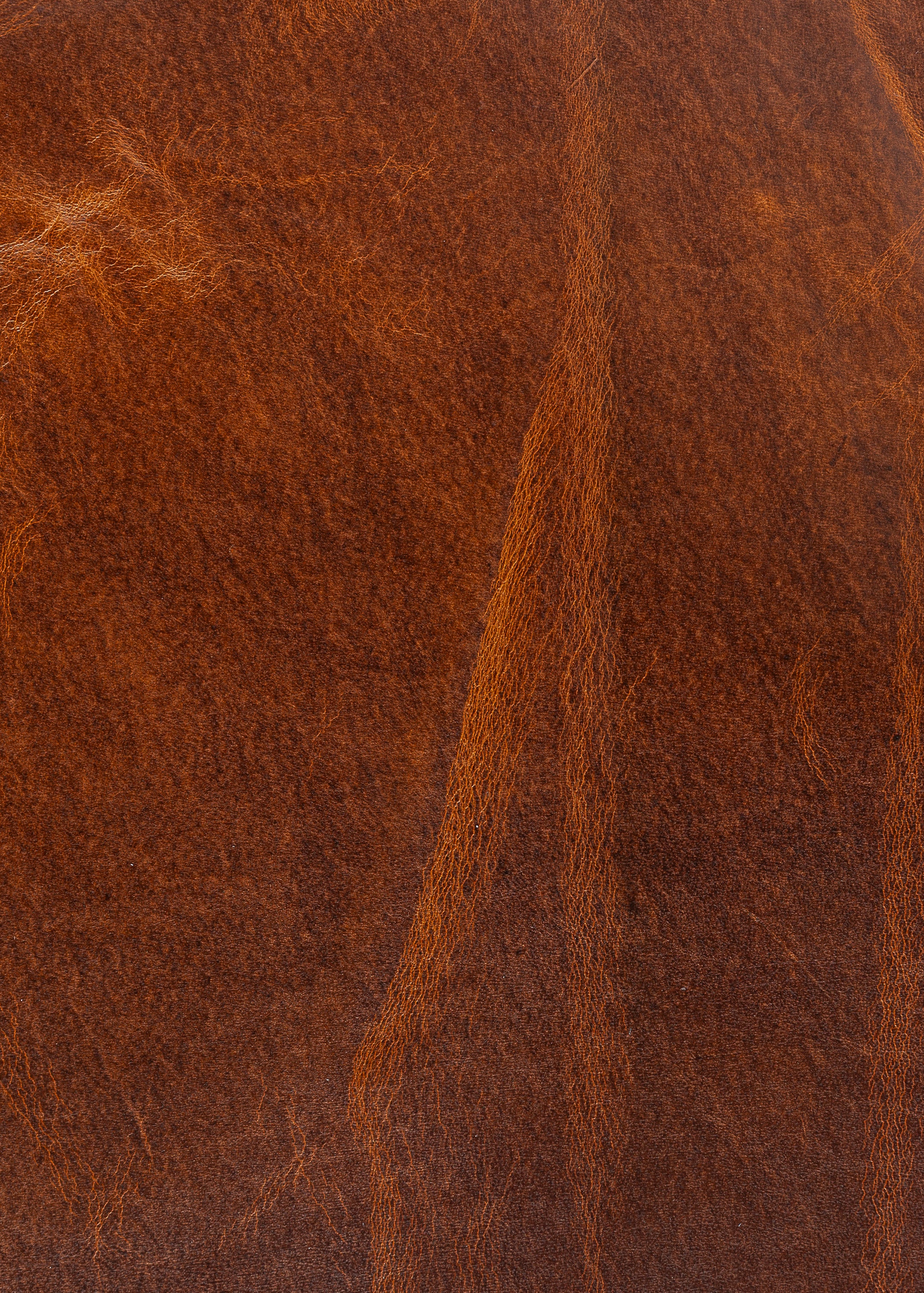 Express Ship Leather 253