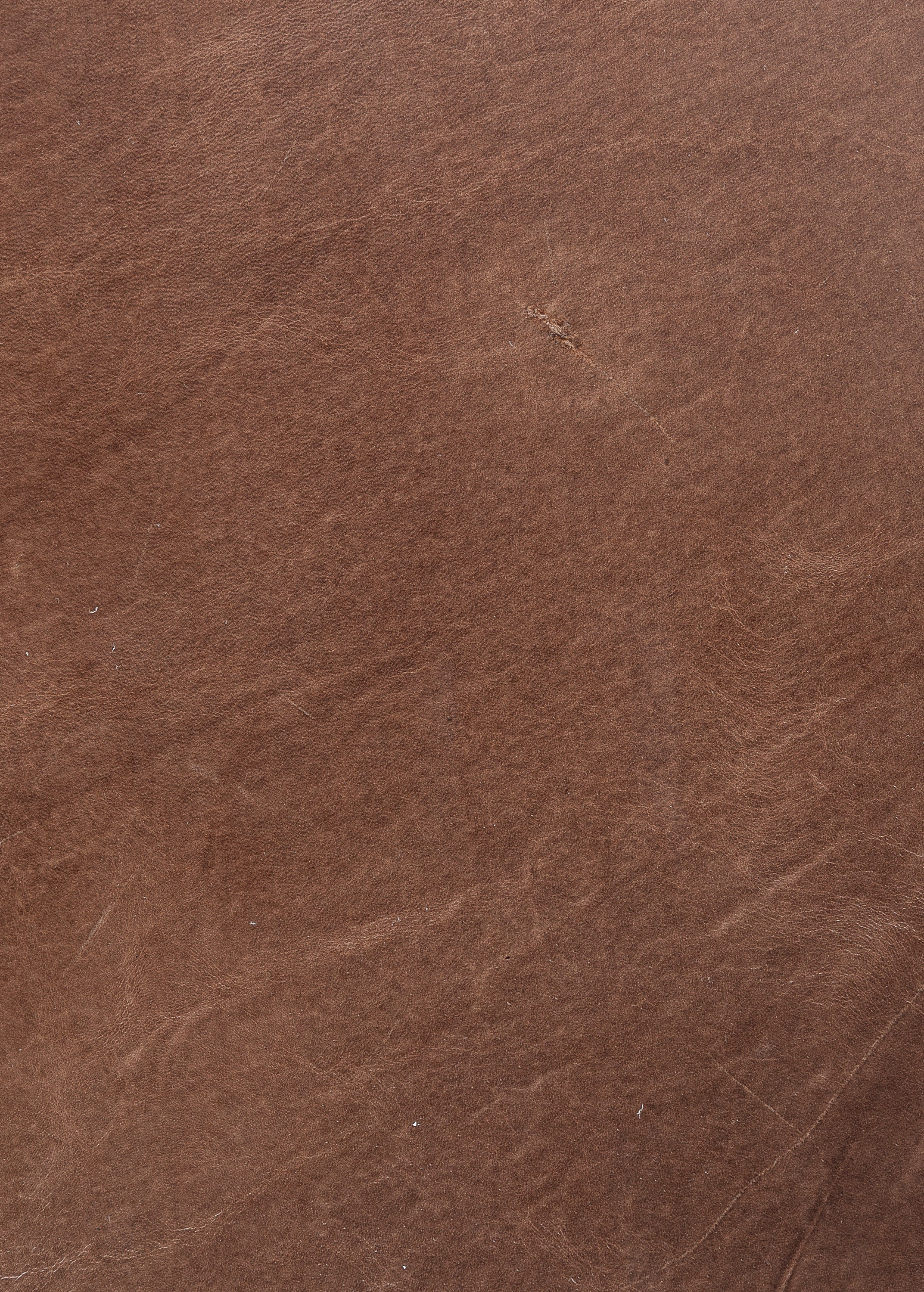 Express Ship Leather 254