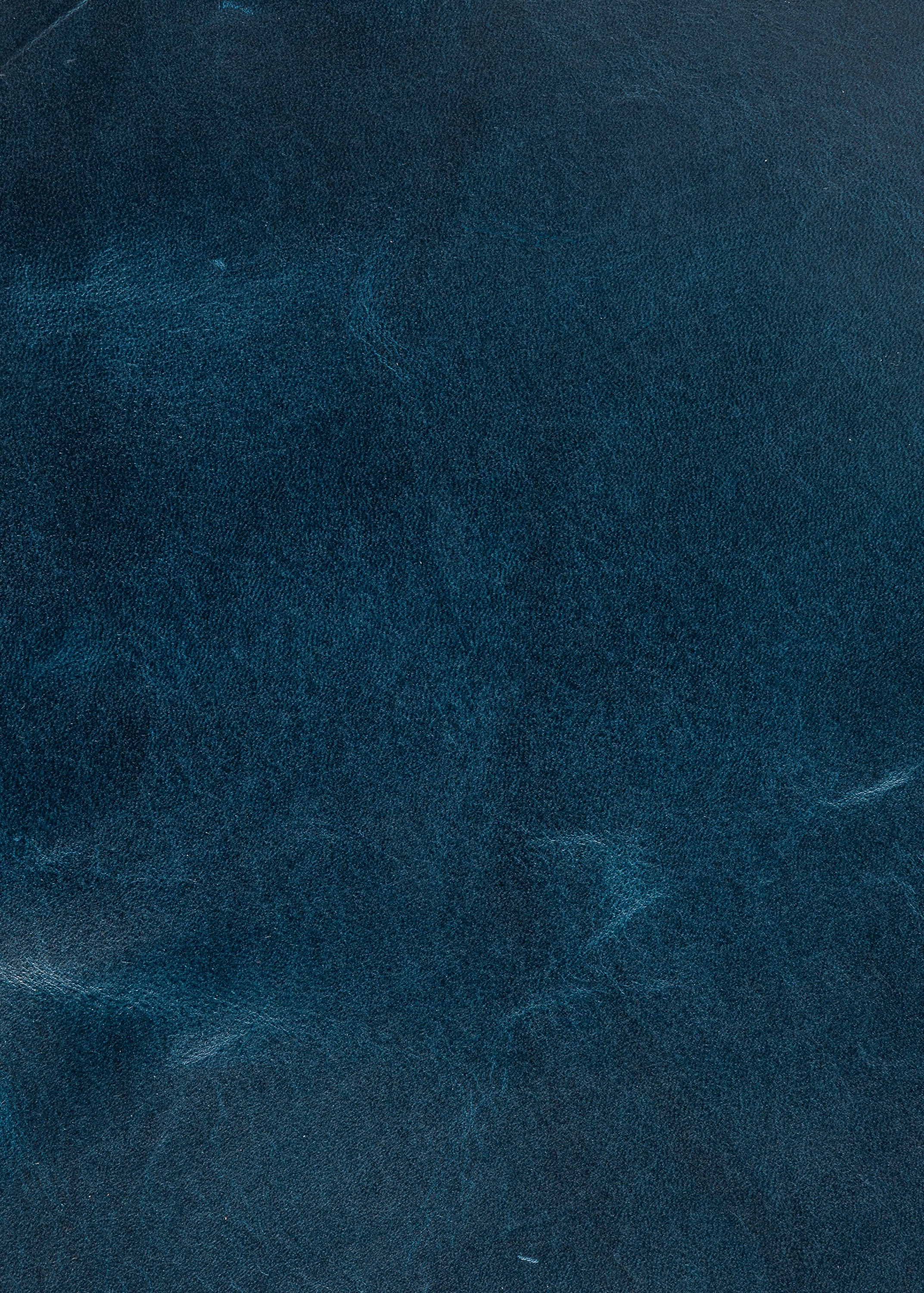 Express Ship Leather 260