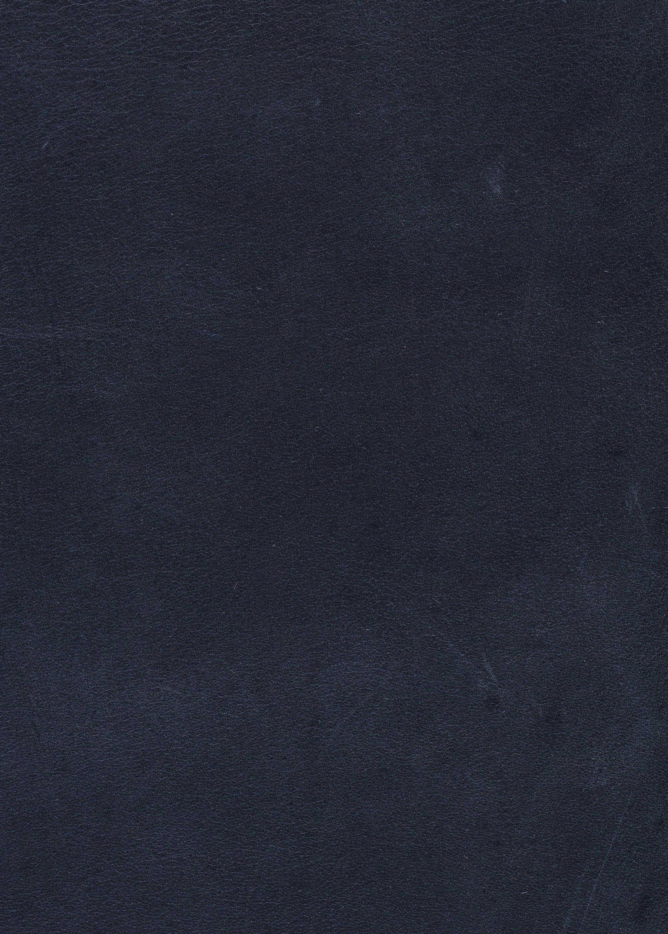 Express Ship Leather 520