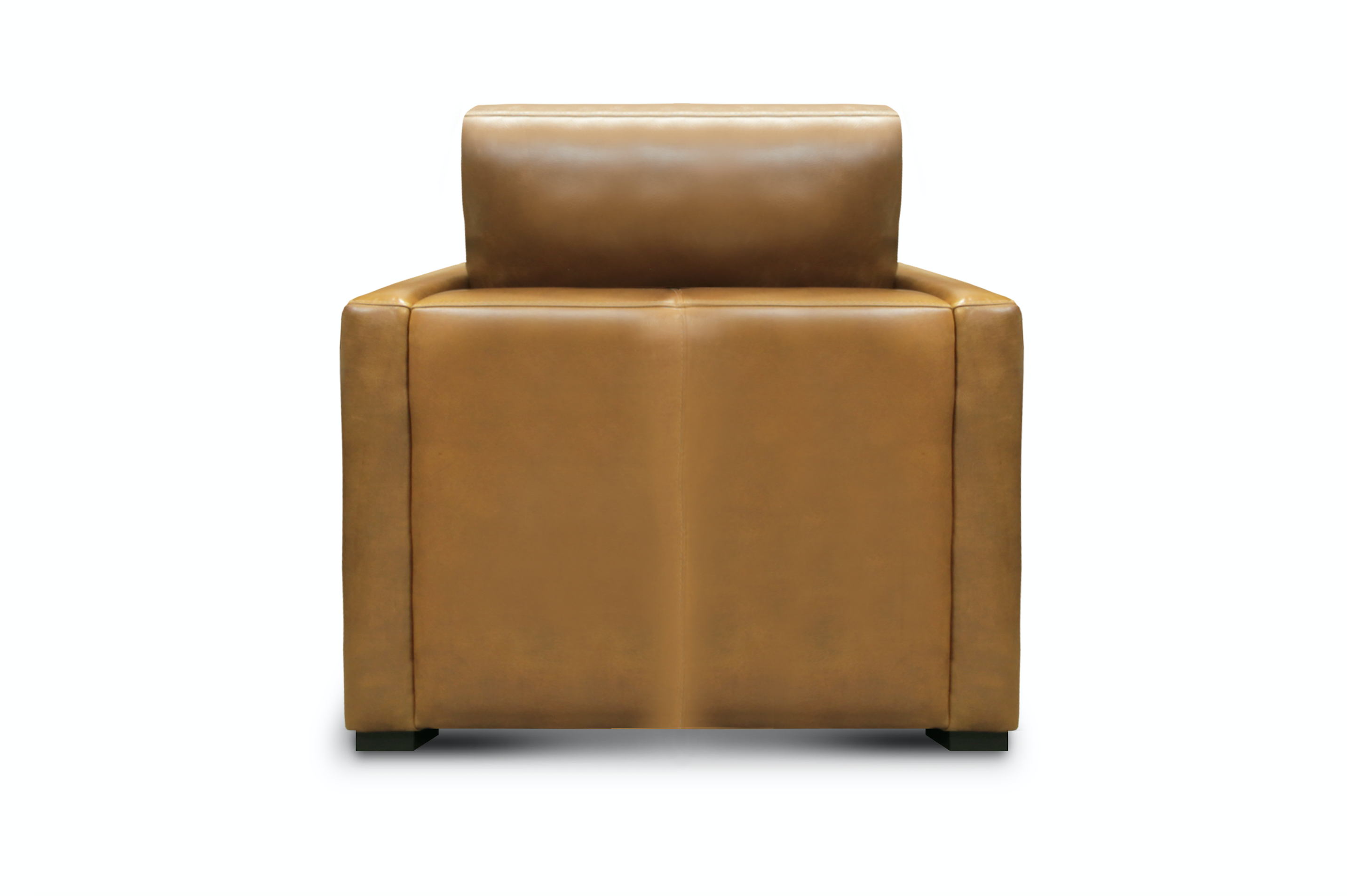 Raphael 39" Top Grain Leather Chair - Bravo Bronze