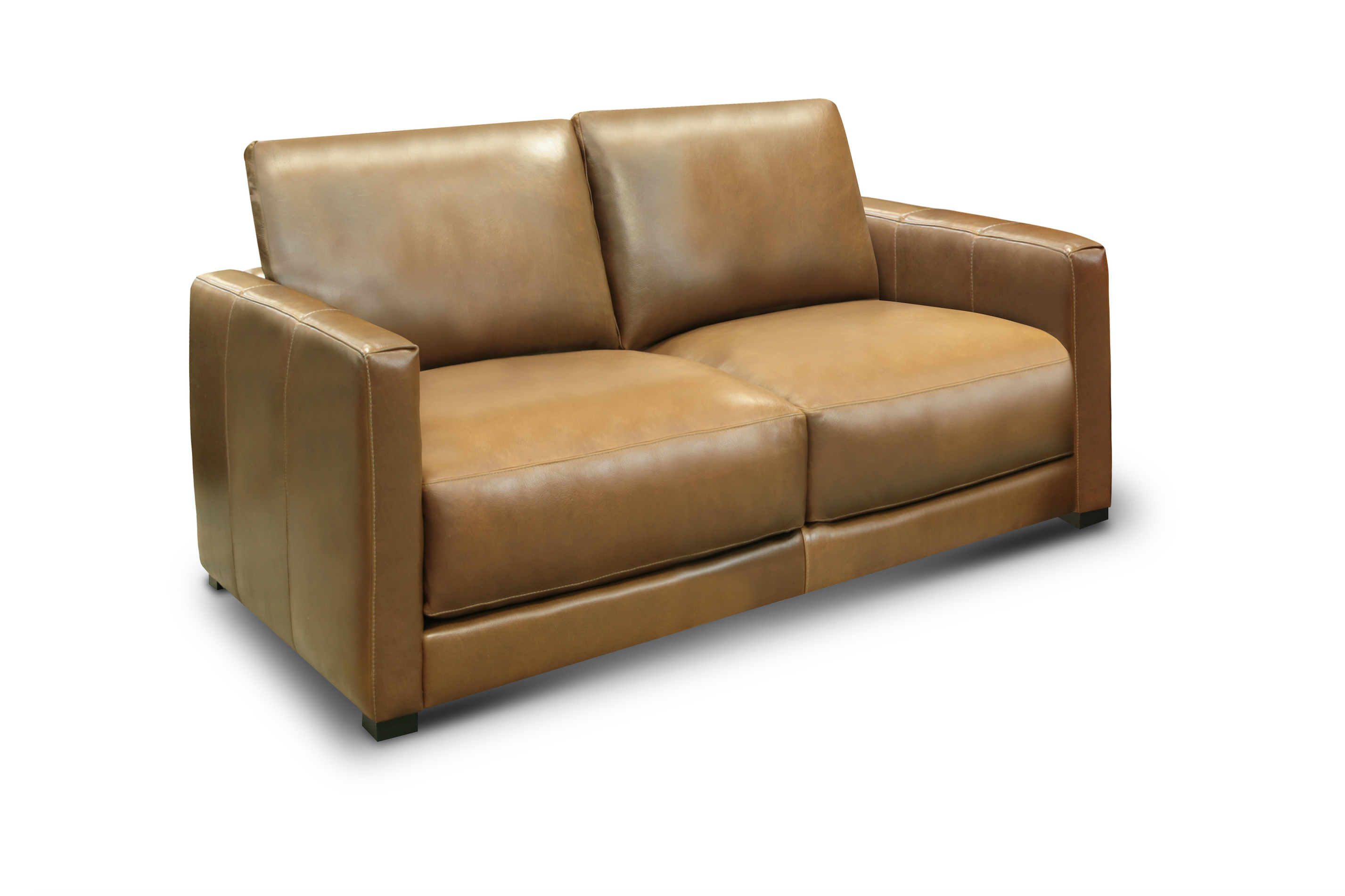 Raphael 70" Top Grain Leather 2 Cushion Loveseat - Bravo Bronze