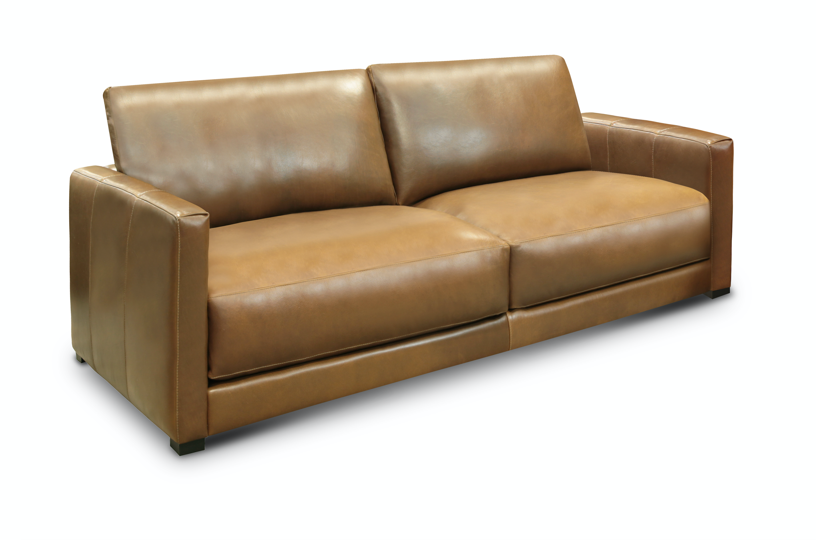 Raphael 90" Top Grain Leather 2 Cushion Sofa - Bravo Bronze