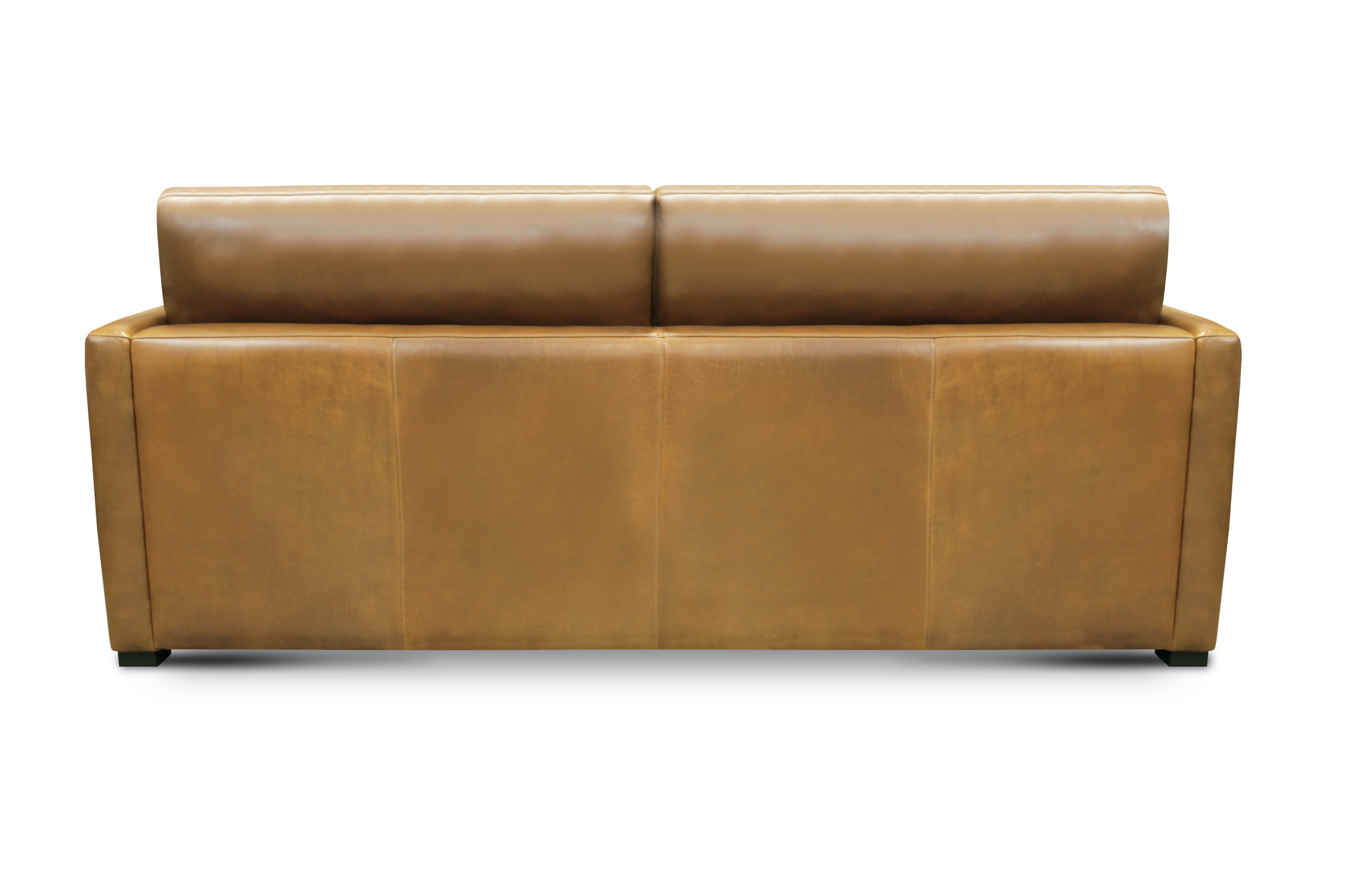 Raphael 90" Top Grain Leather 2 Cushion Sofa - Bravo Bronze