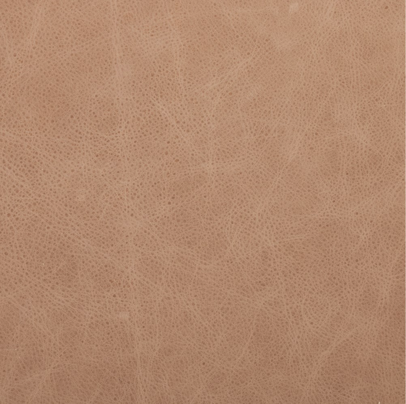 Chasity 84" Top Grain Leather 2 Cushion Sofa - Palermo Nude