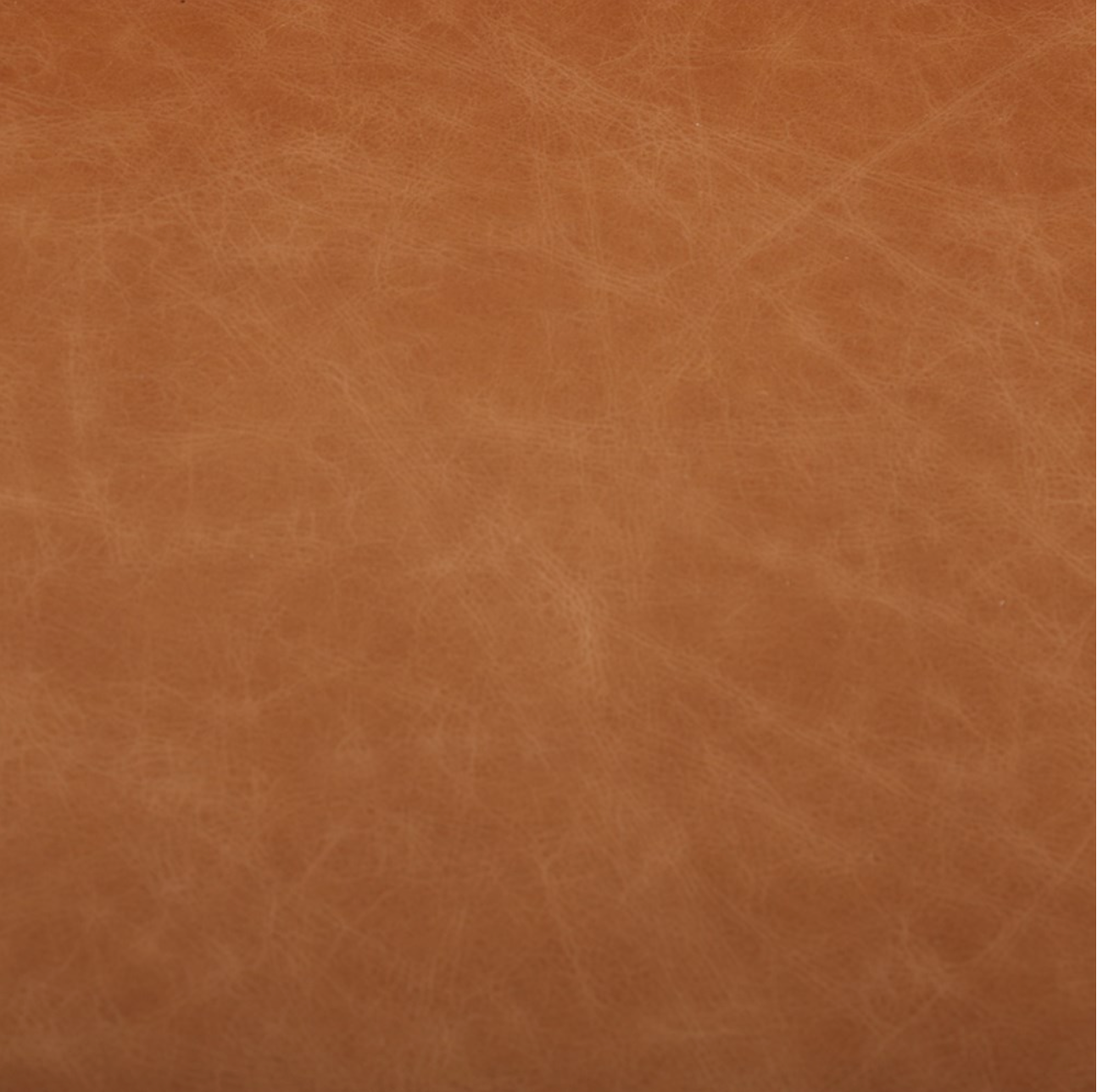 Chastity 84" Top Grain Leather 2 Cushion Sofa - Butterscotch