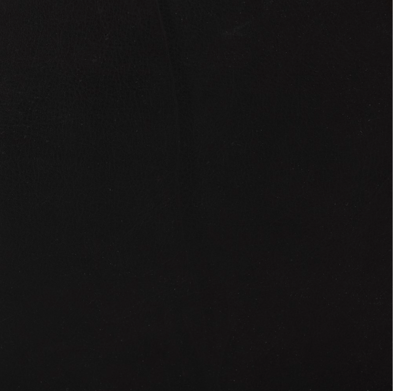 Chastity 84" Top Grain Leather 2 Cushion Sofa - Heirloom Black