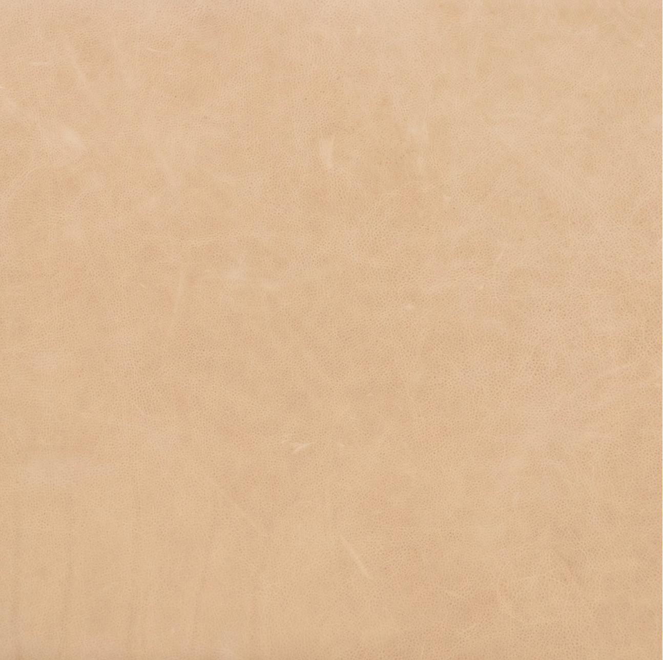 Keelan 90" Top Grain Leather Sofa - Palmero Nude