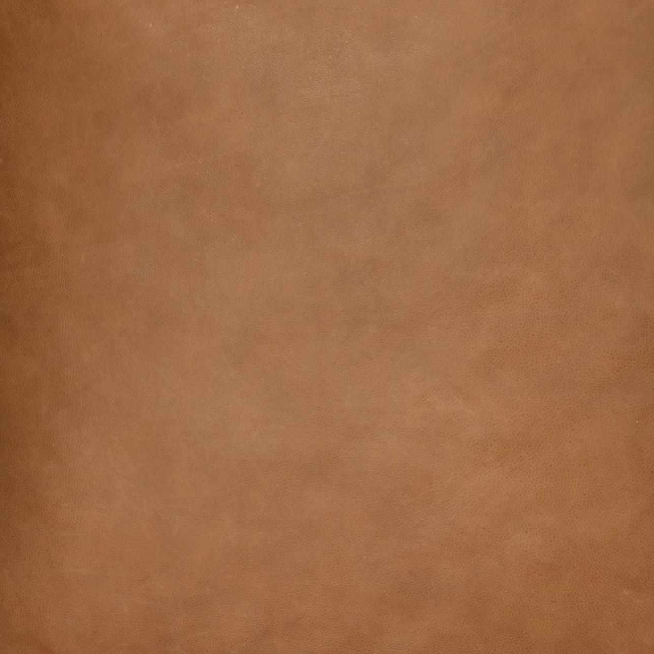 Cade 91" Italian Top Grain Leather 2 Cushion Sofa - Cognac