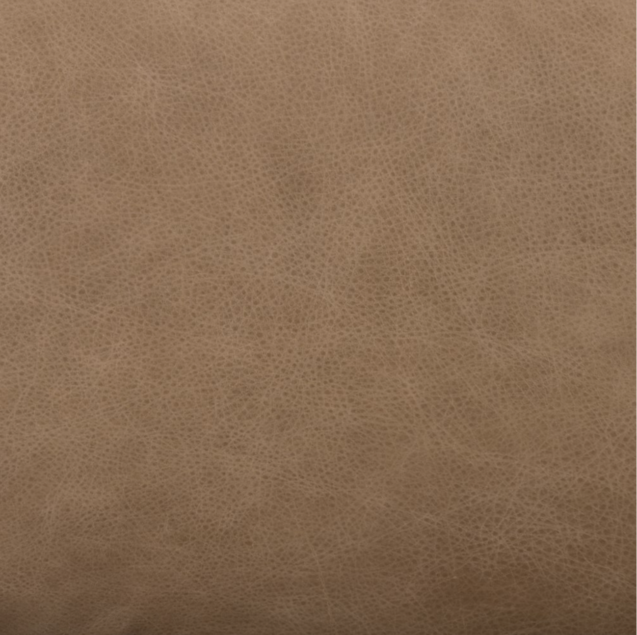 Raymond 28" Top Grain Leather Occasional Chair - Palermo Drift