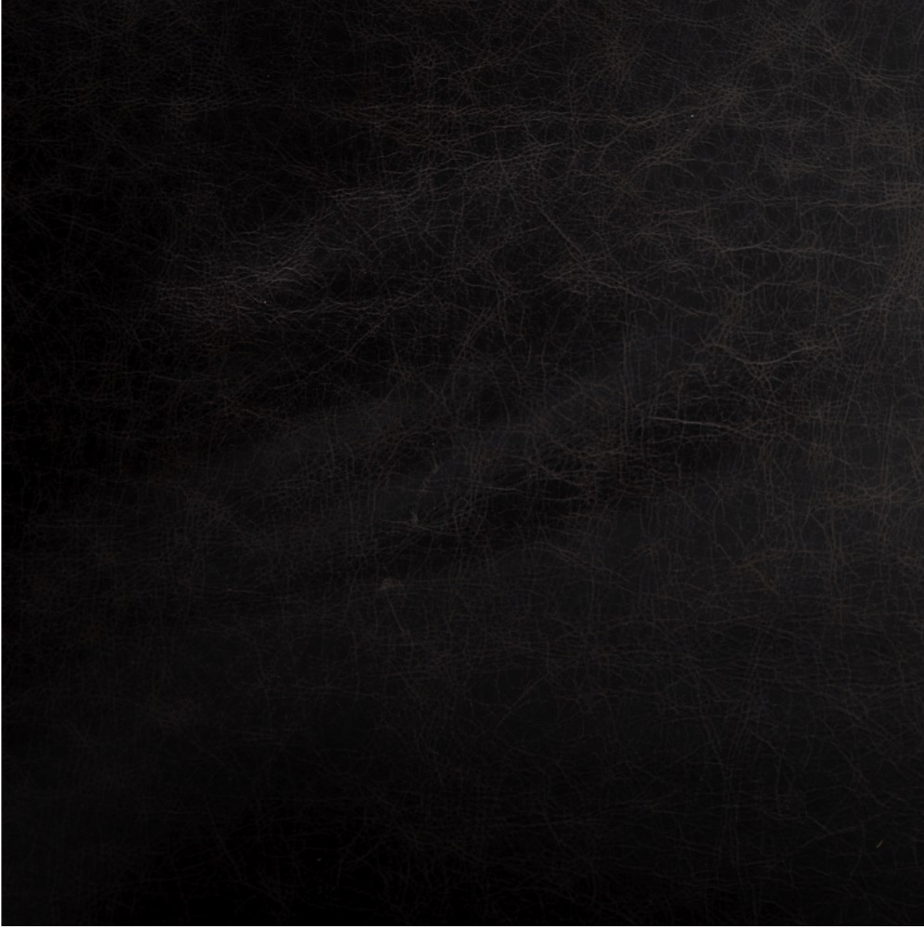 Raymond 28" Top Grain Leather Occasional Chair - Black