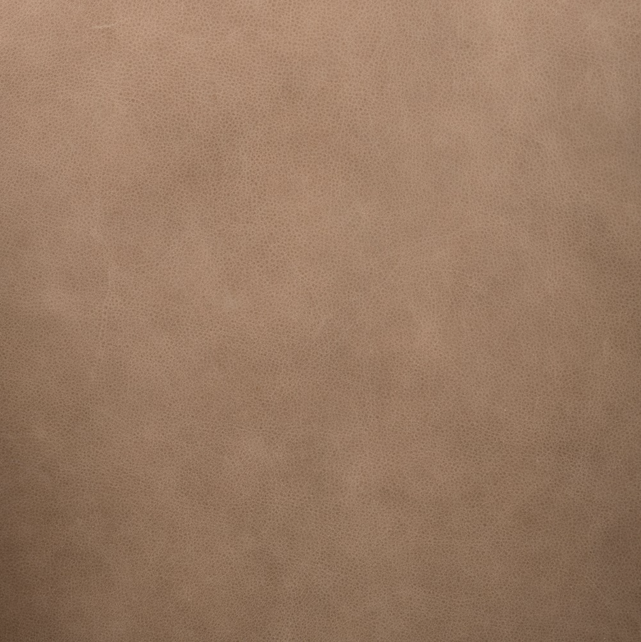 Dasha 29" Top Grain Leather Accent Chair - Palermo Drift