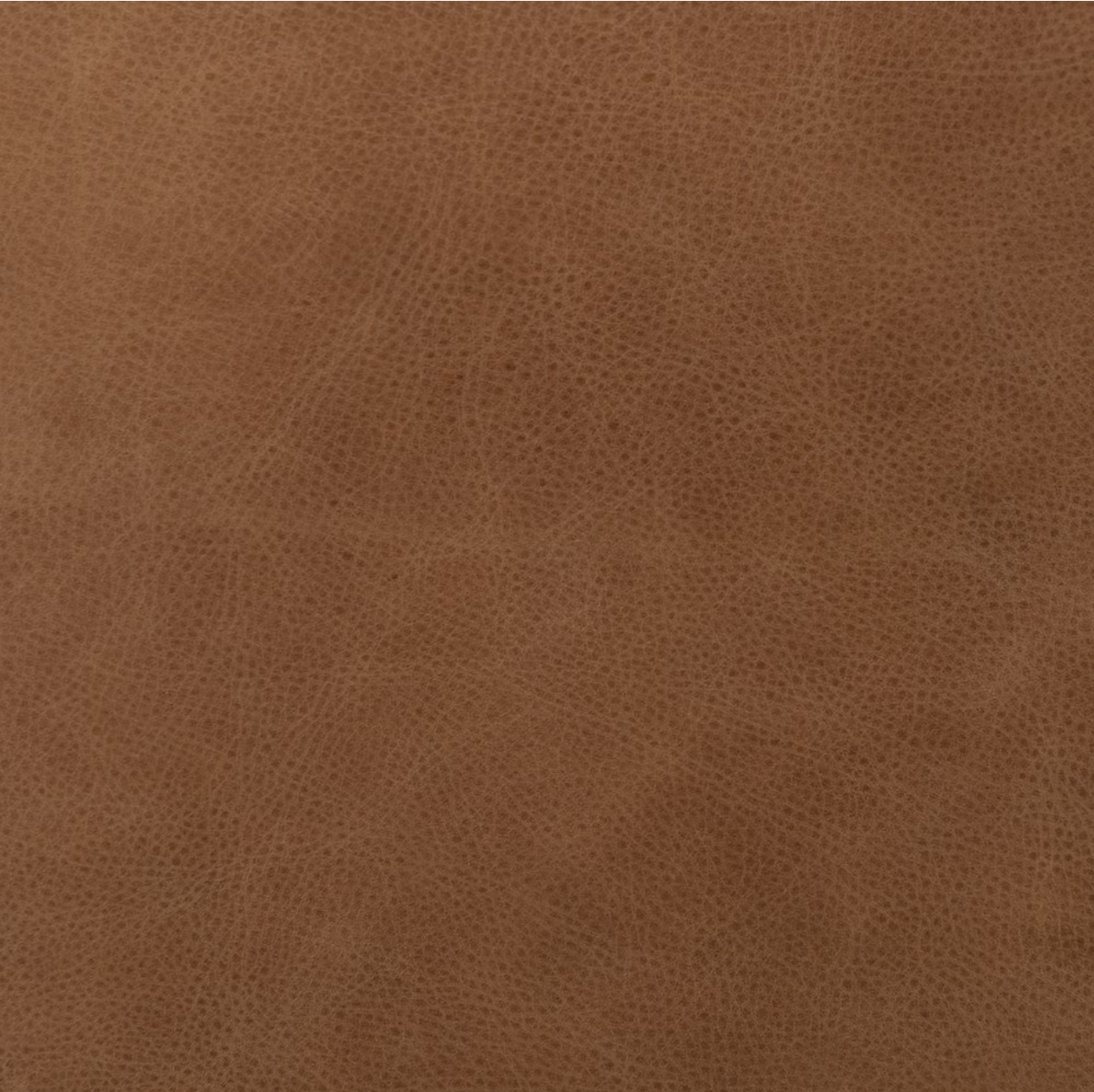 Eleyana 33" Top Grain Leather Occasional Chair - Cognac