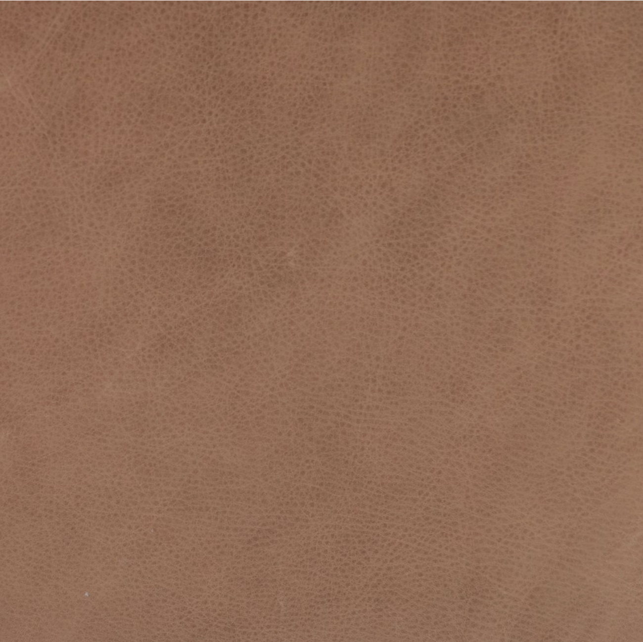 Daniel 32" Top Grain Leather Occasional Chair - Palermo Drift