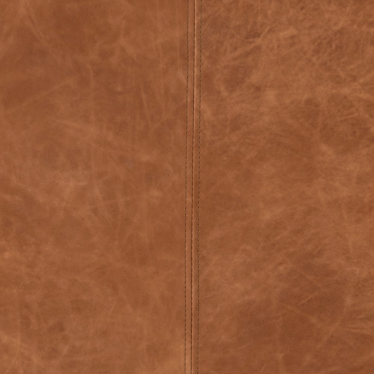 Adalena 33" Top Grain Leather Occasional Chair - Natural Camel