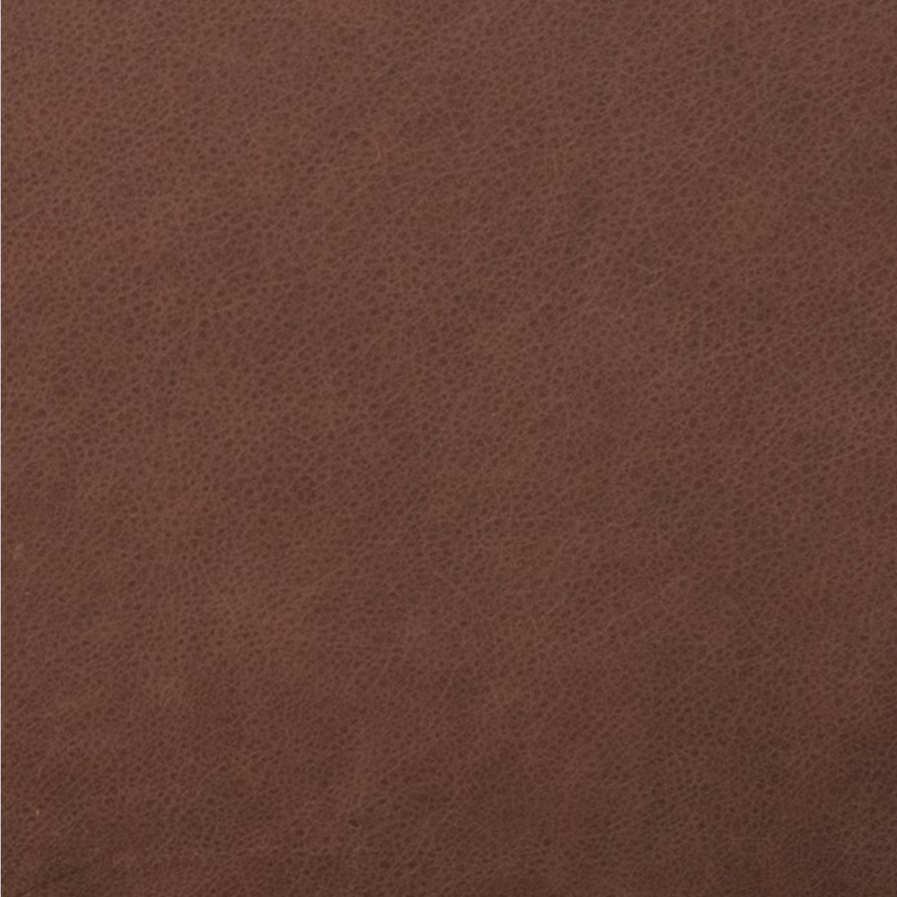 Micha 30" Top Grain Leather Occasional Chair - Brickhouse Brown + Ash