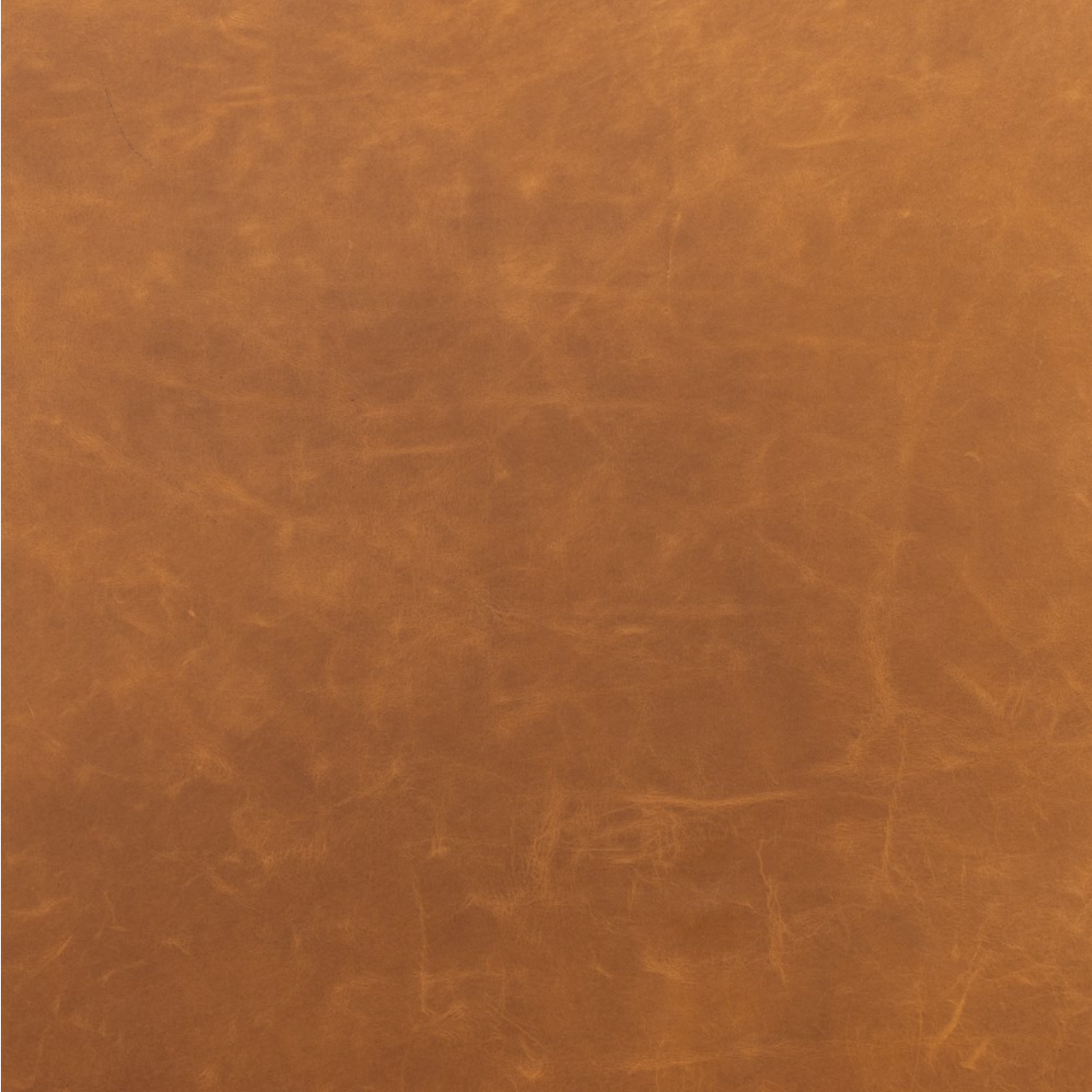 Tobias 32" Top Grain Leather Occasional Chair - Chestnut