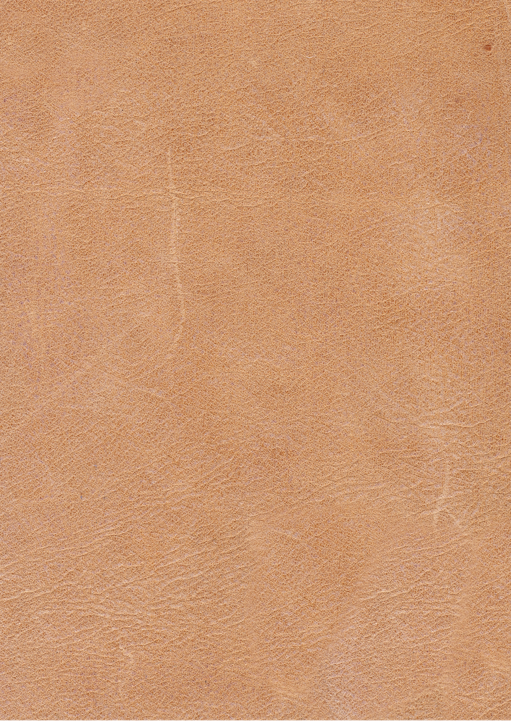 Gretchen Express Ship 89" 2 Cushion Wide Track Arm Top Grain Leather Sofa - Cider